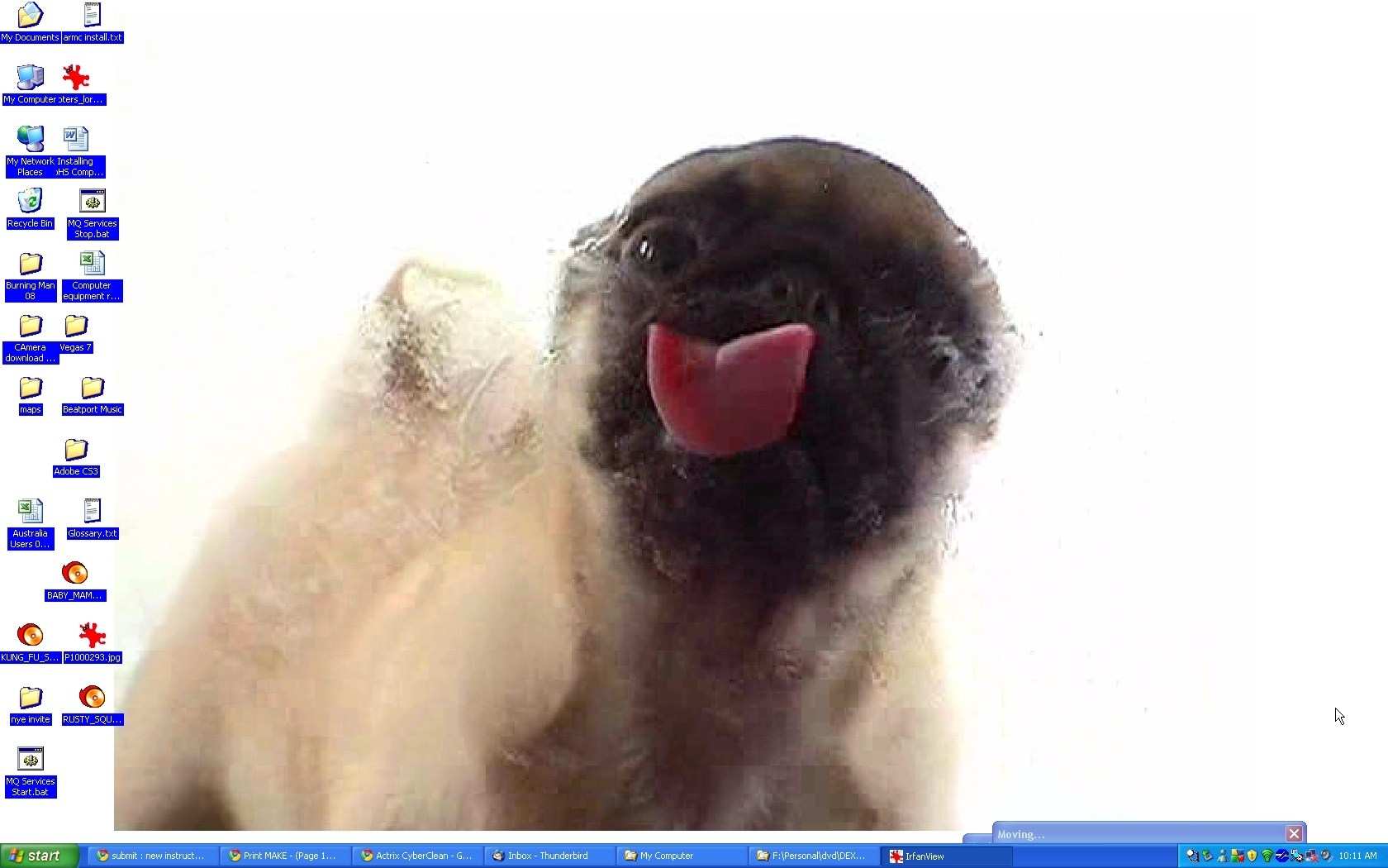 There Is A Dog Licking My Pc Screen Prank - Dog Licking Wallpaper For Pc , HD Wallpaper & Backgrounds