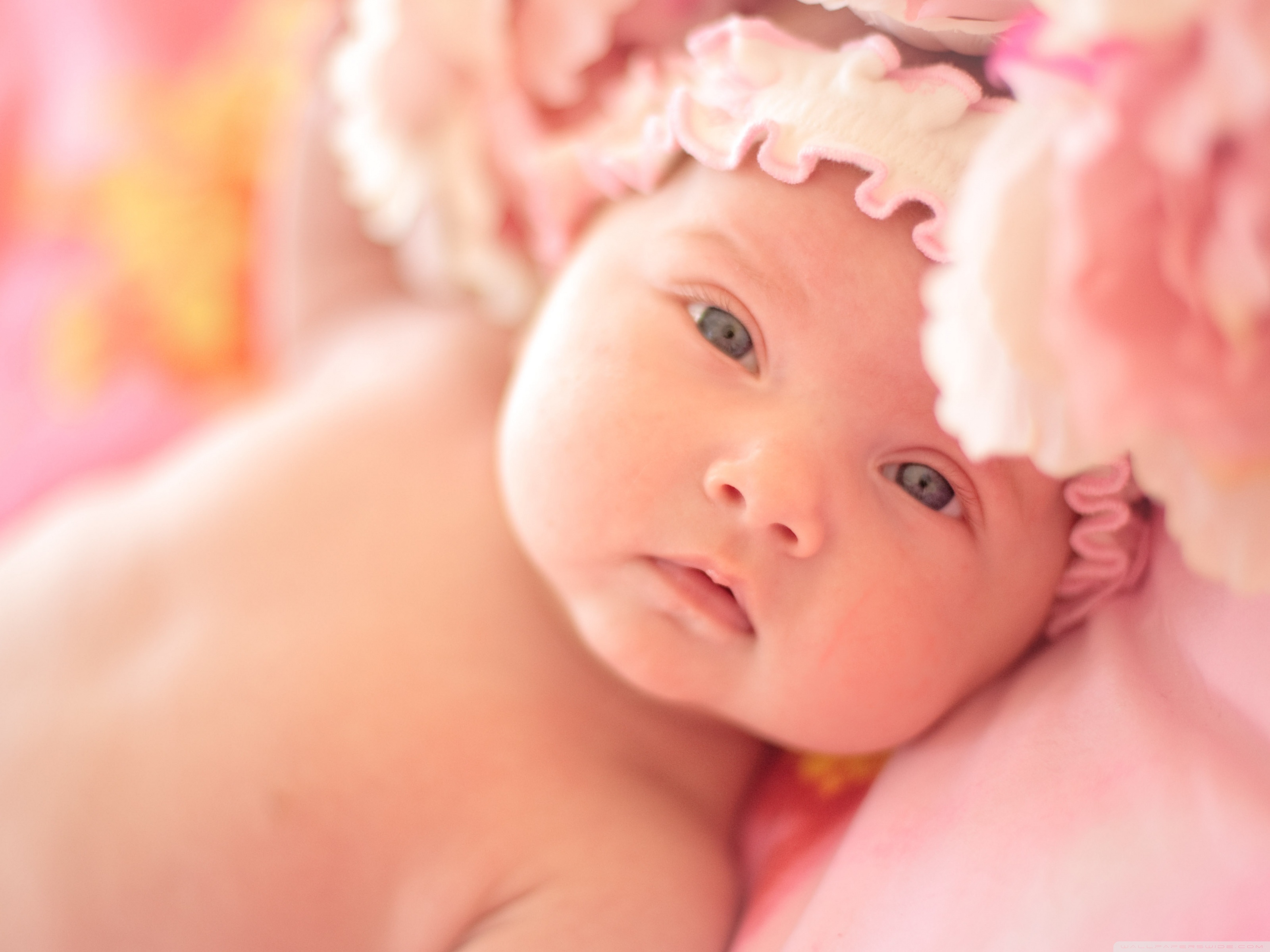 Cute Newborn Baby Girl - Cute New Baby Pic Hd , HD Wallpaper & Backgrounds