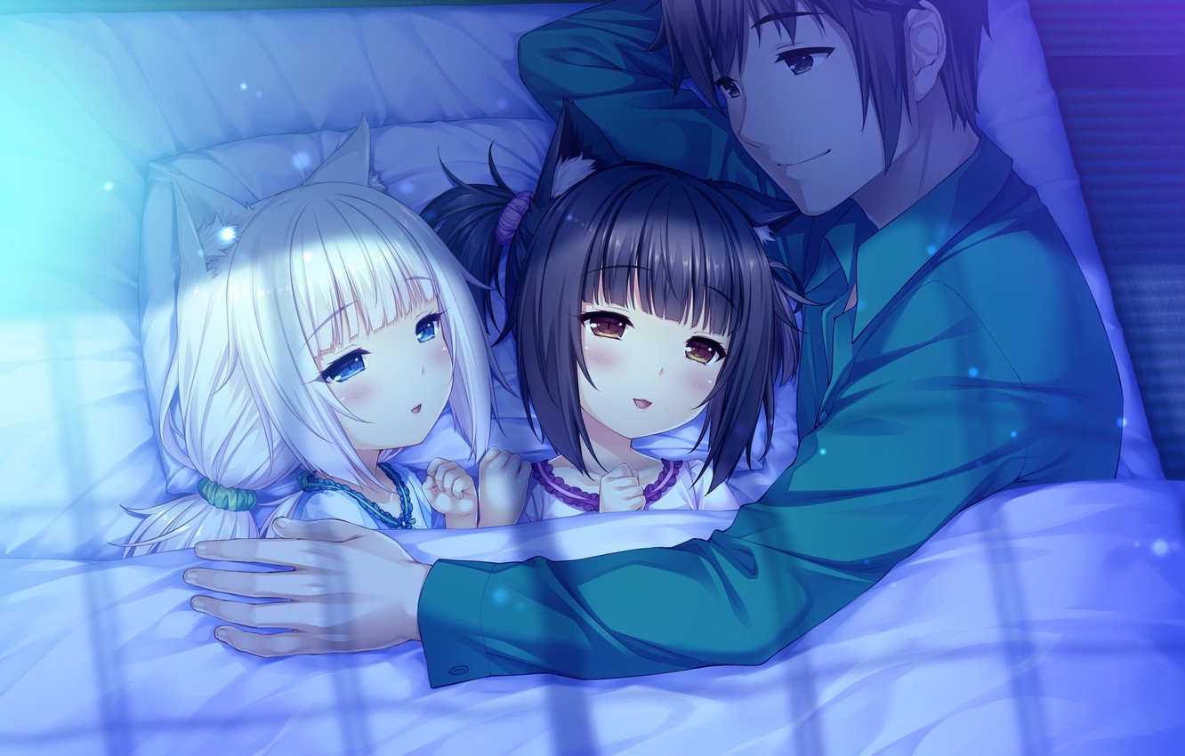 Photo Wallpaper Girls, Anime, Guy, Nekopara - Appeals To The Male Fantasy Memes , HD Wallpaper & Backgrounds