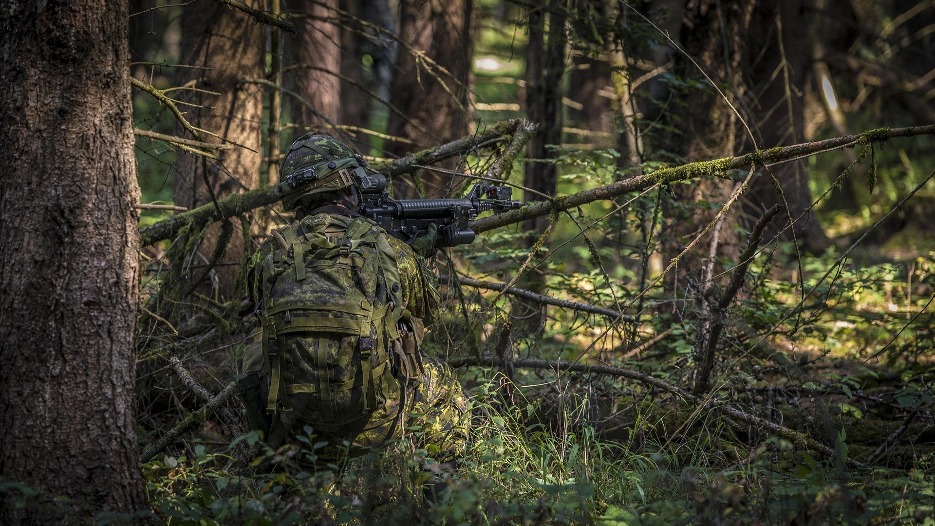Men, Soldier, Rifles, Assault Rifle, Forest, Military, - Military Camouflage In Forest , HD Wallpaper & Backgrounds