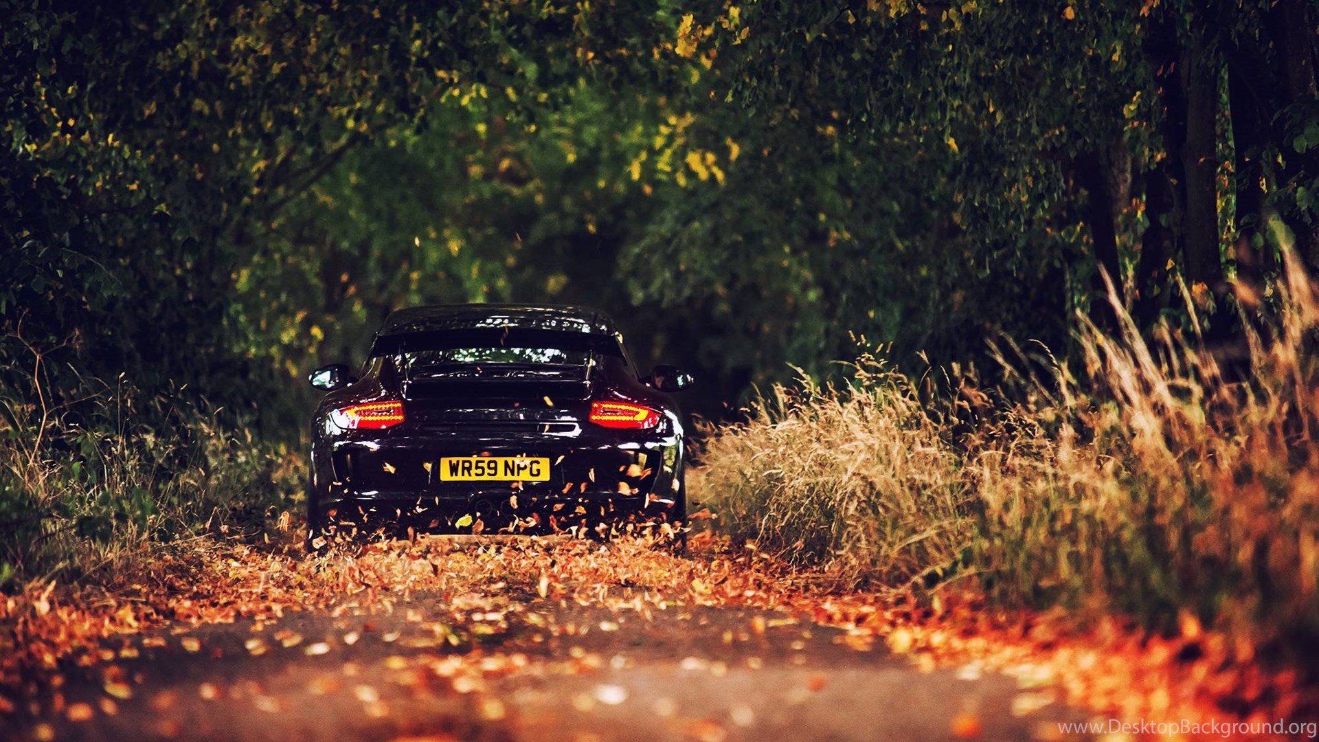 Popular - Porsche 911 , HD Wallpaper & Backgrounds