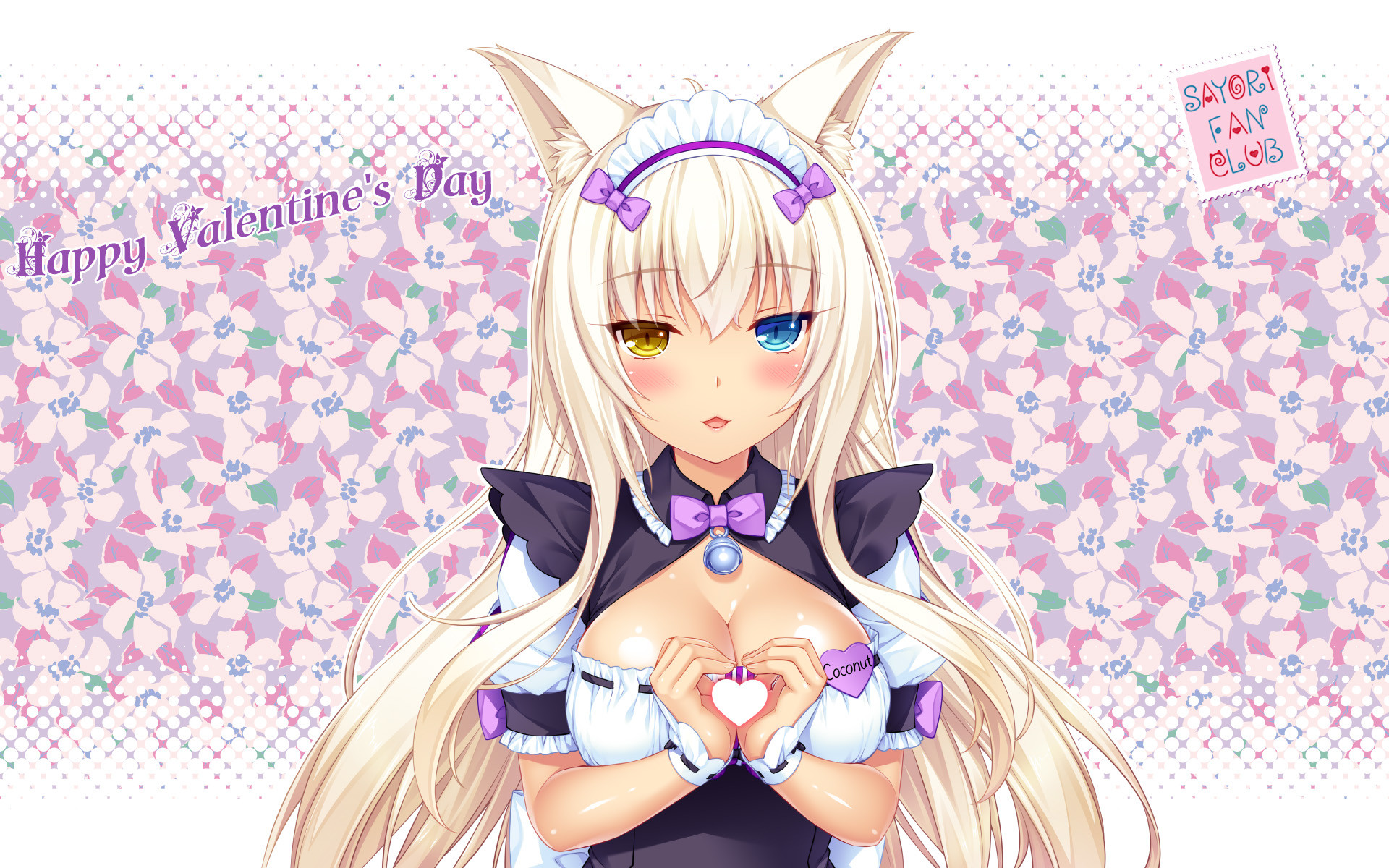 Cute Neko Anime Girl , HD Wallpaper & Backgrounds