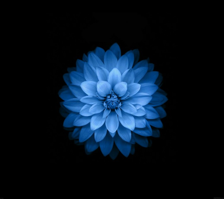 Power Saver Wallpaper For Redmi Note 4 Which Save 15% - Live Flower Wallpaper Iphone , HD Wallpaper & Backgrounds