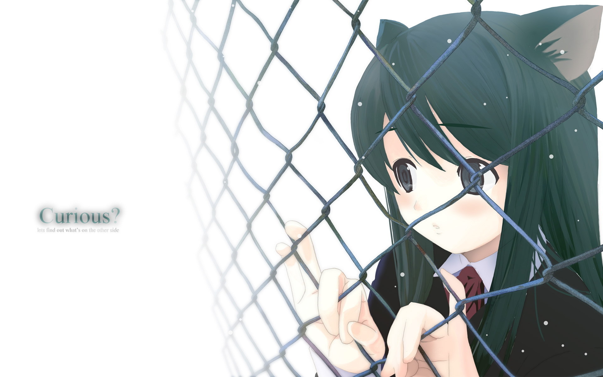 Neko Anime Characters Images Curious Hd Wallpaper And - Neko In A Cage , HD Wallpaper & Backgrounds