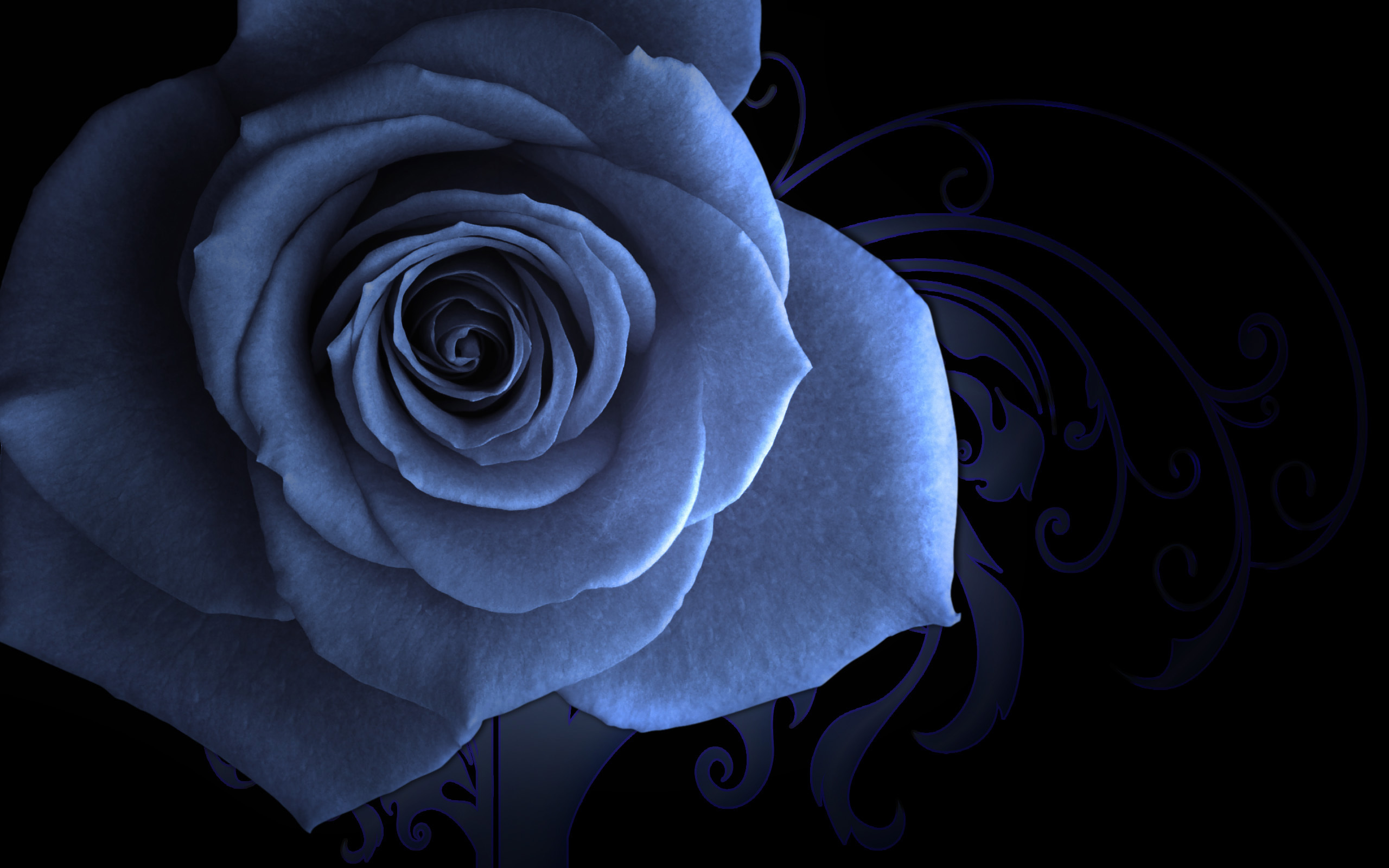 Photo Wallpaper Saver, Blue Rose, Patterned Background - Flower Wallpaper Sad , HD Wallpaper & Backgrounds