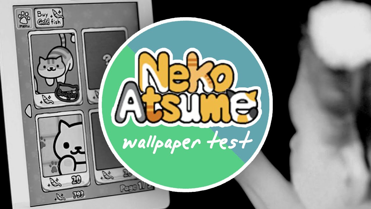 My Neko Atsume Fail Redecorating ^ ^ - Cartoon , HD Wallpaper & Backgrounds