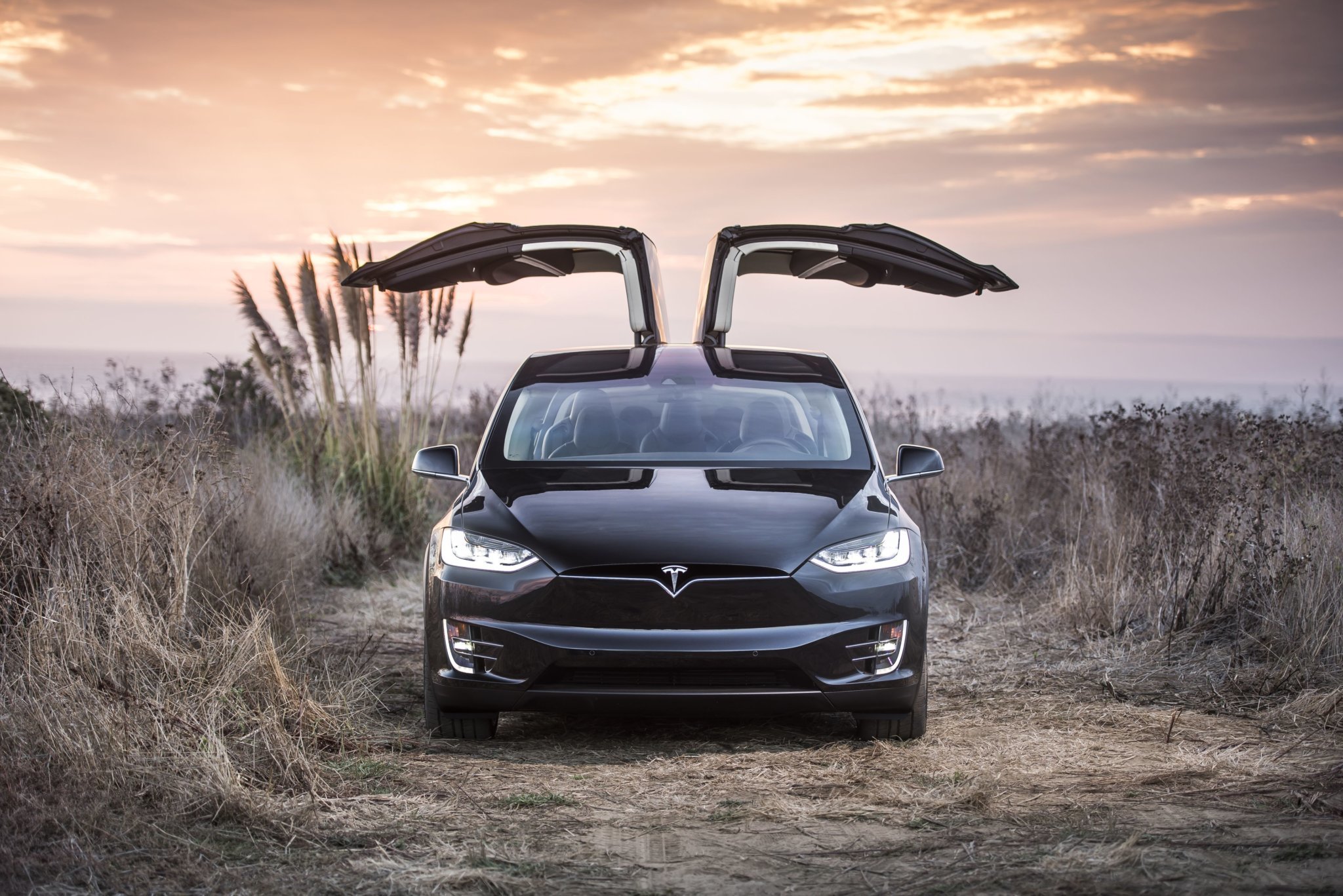 Tesla Model X Doors Up , HD Wallpaper & Backgrounds