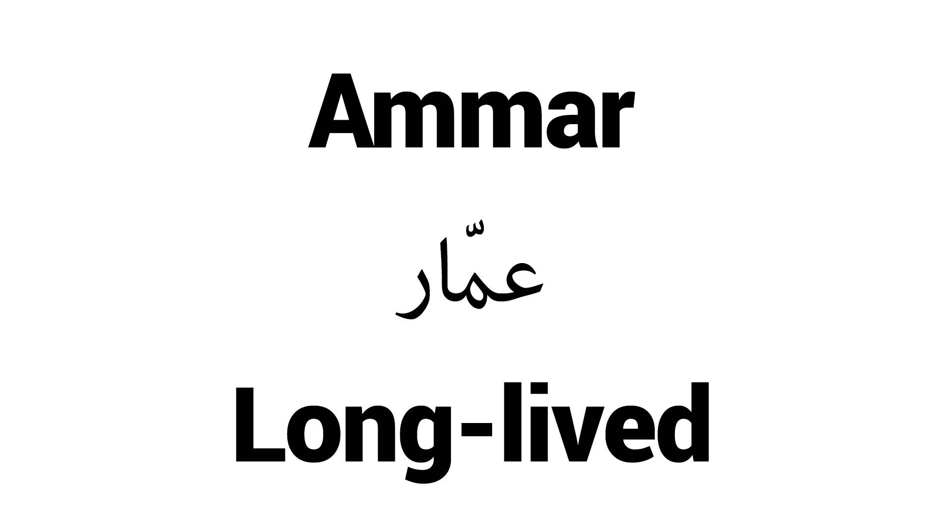 Amar - Nadirah In Arabic Writing , HD Wallpaper & Backgrounds