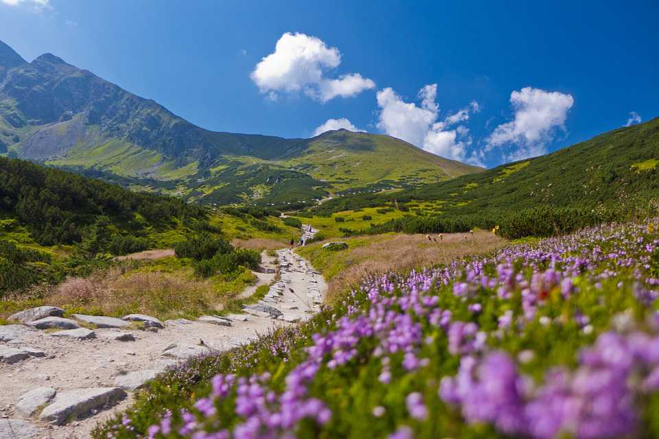 Gebirge Tatry Landscape Sky - Góry Tatry Widoki , HD Wallpaper & Backgrounds