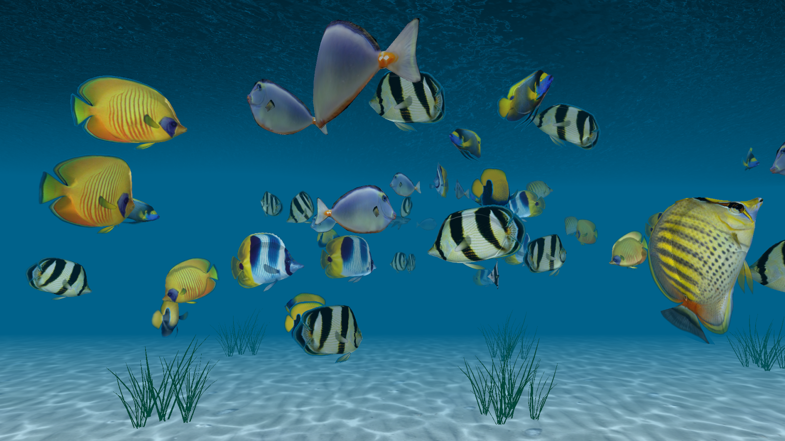 Sonu Name Wallpaper - Coral Reef Fish , HD Wallpaper & Backgrounds