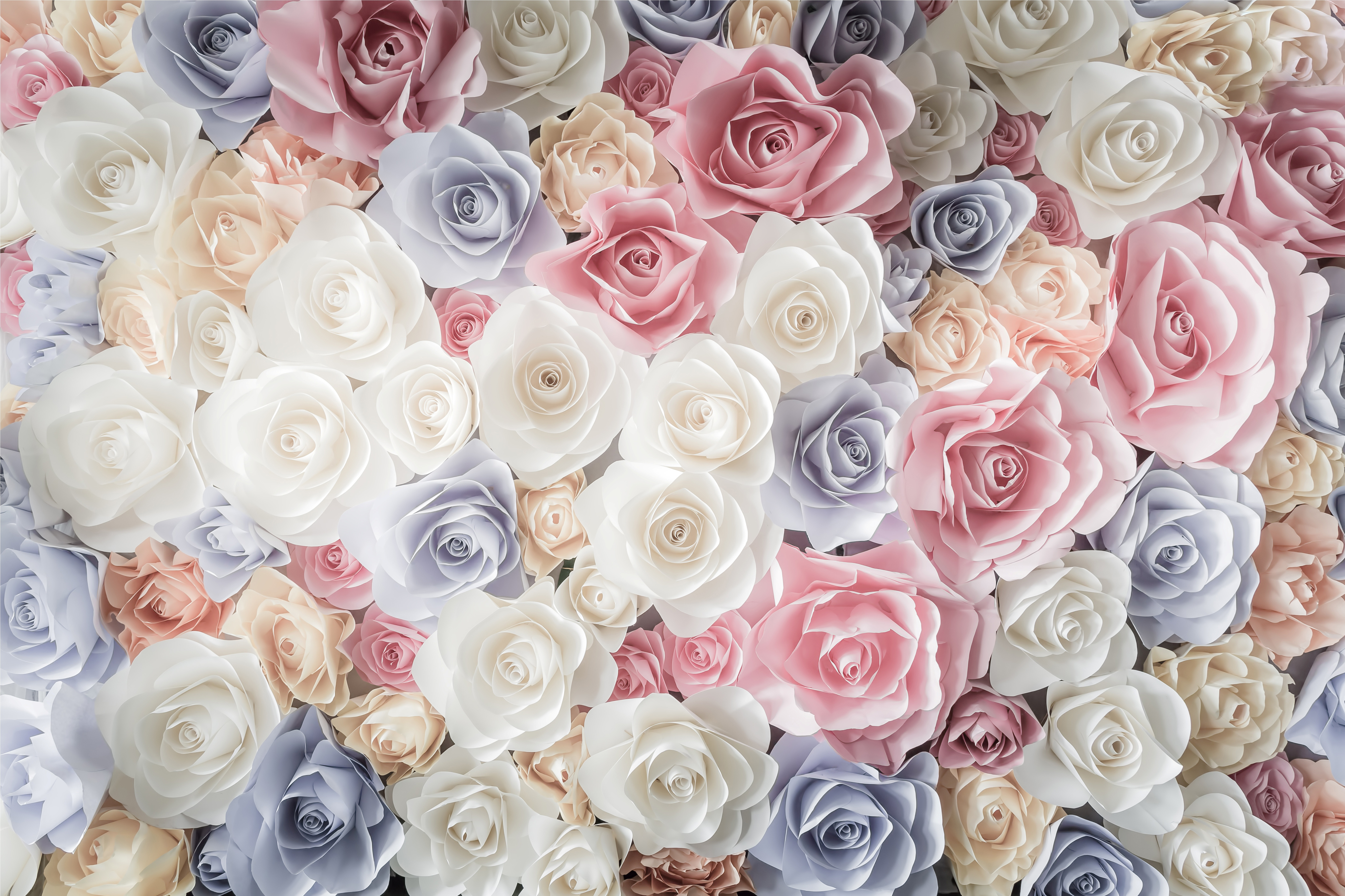 Pastel Roses 5k Retina Ultra Hd Wallpaper - Backdrop Of Colorful Paper Roses , HD Wallpaper & Backgrounds