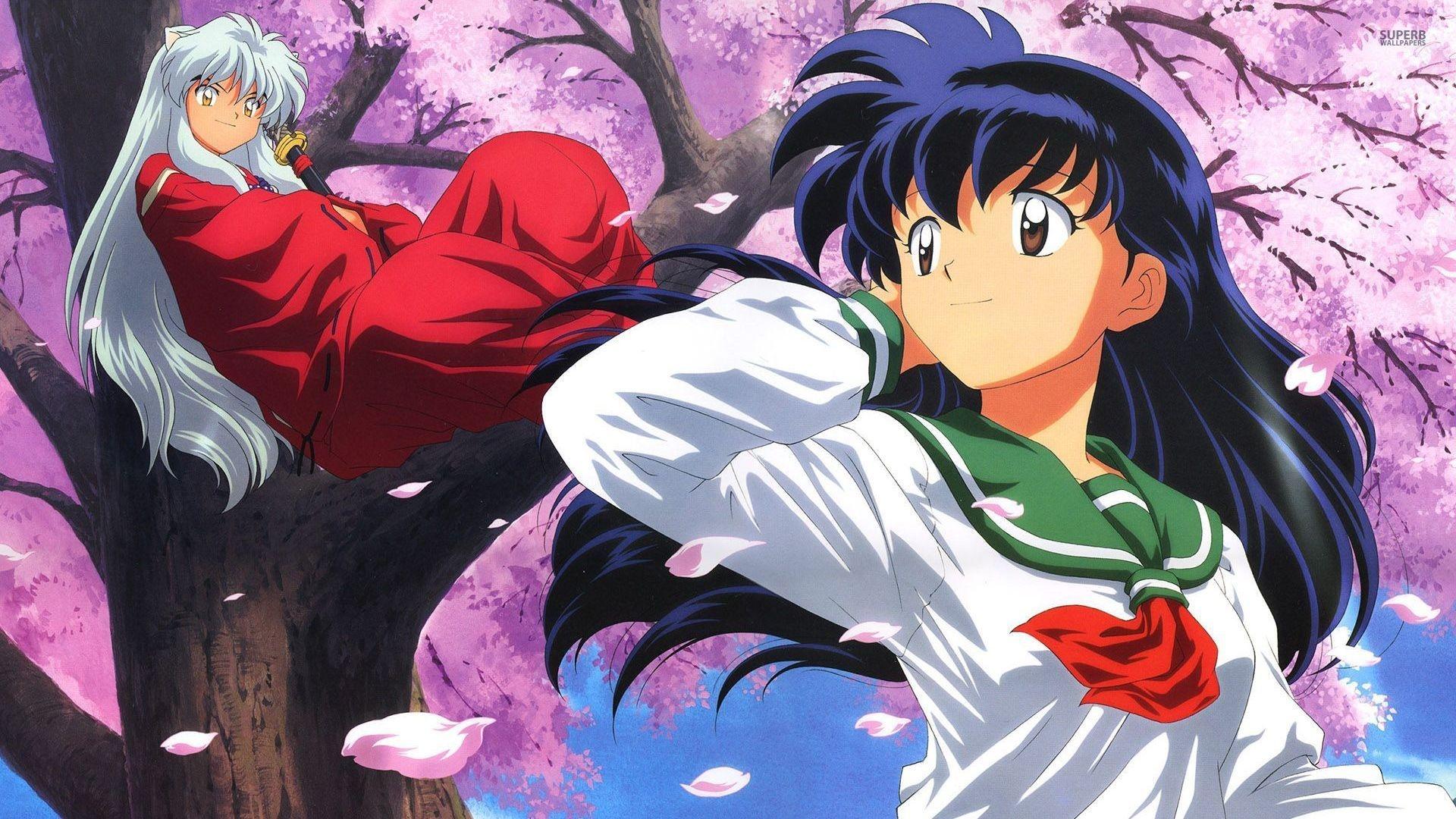 Inuyasha - Funny Anime Jokes Clean , HD Wallpaper & Backgrounds