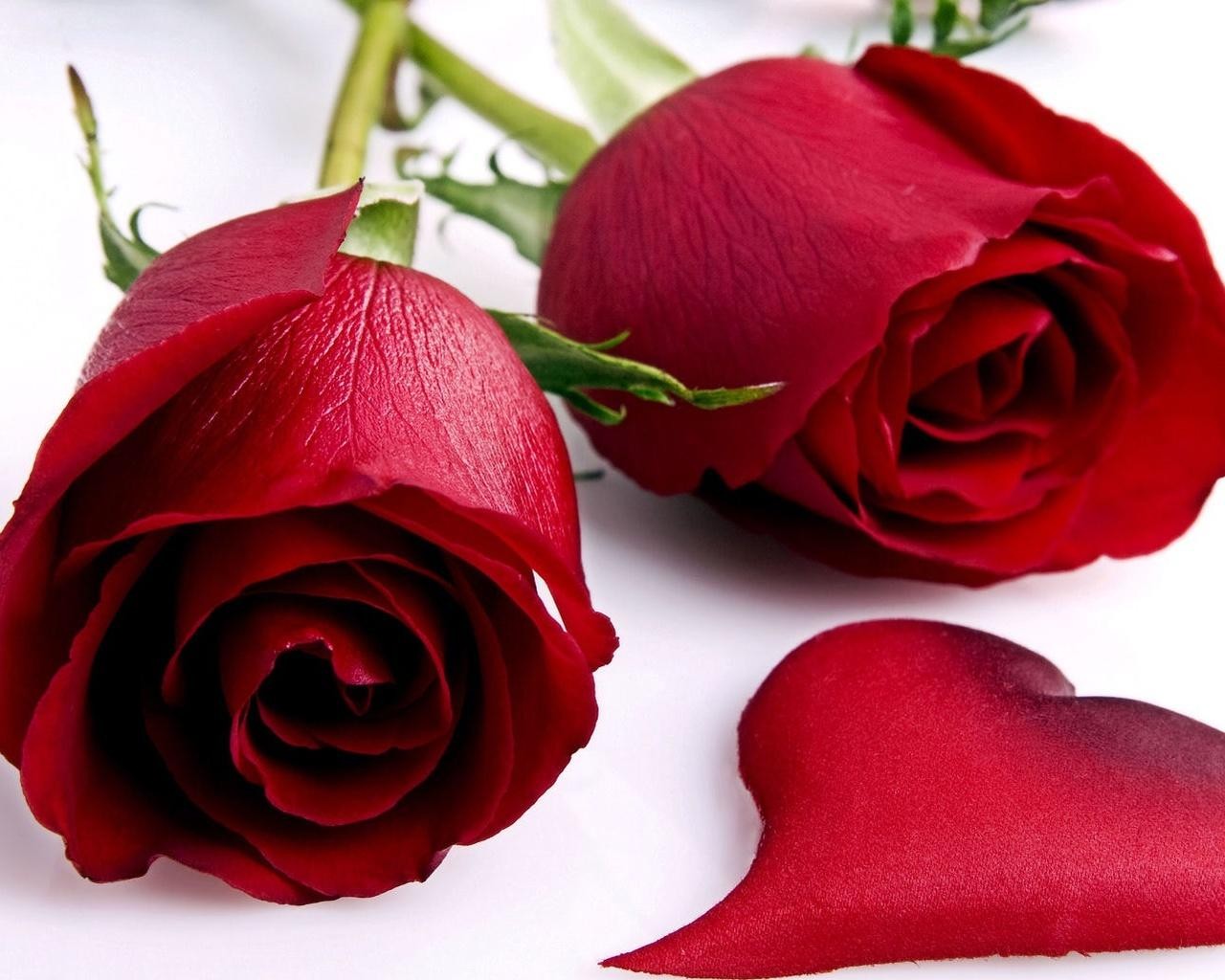 Wallpaper Gulab Ka Phool - Red Rose Flowers Free Download , HD Wallpaper & Backgrounds