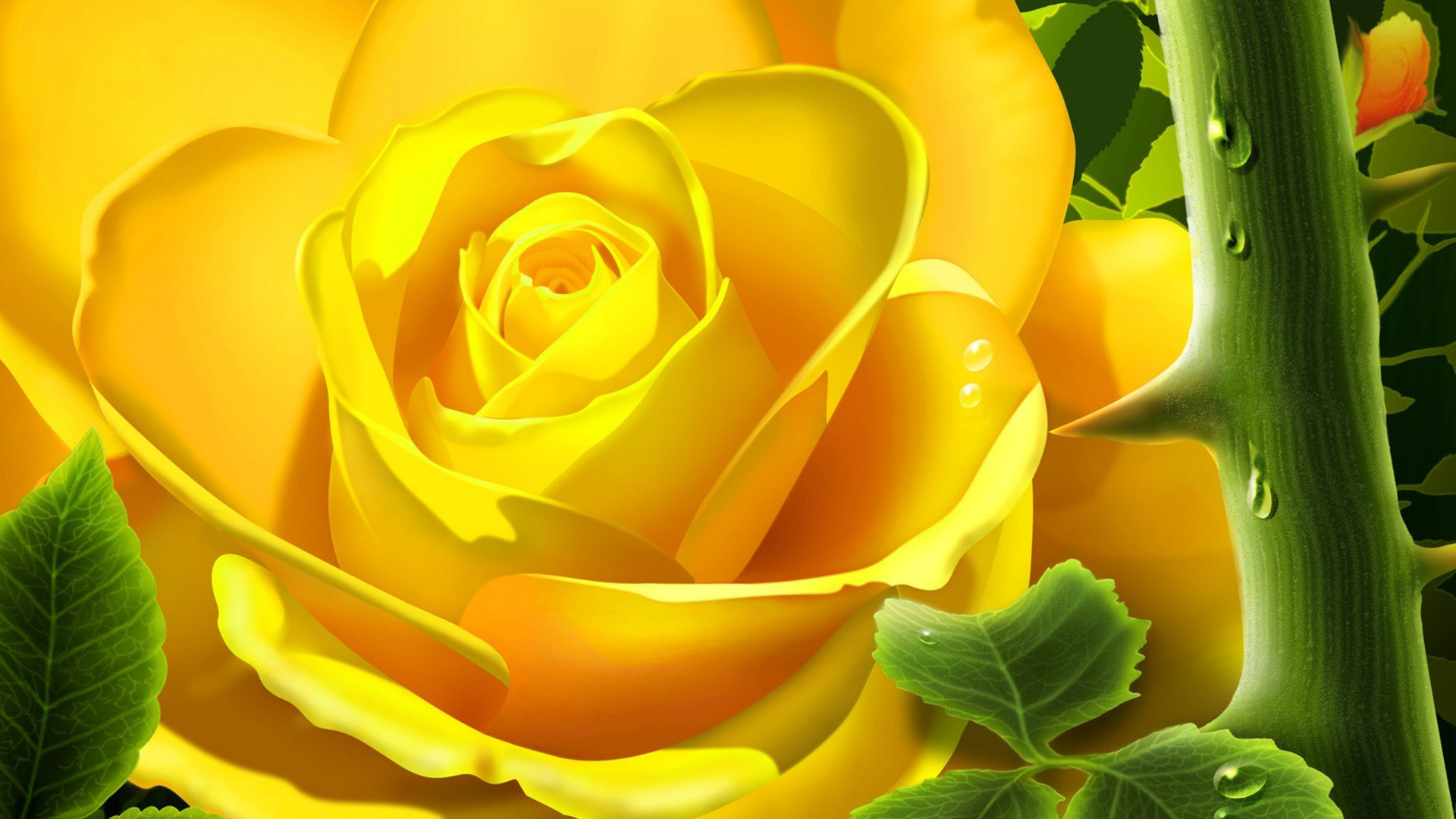 Fxa41 4k Ultra Hd Yellow Rose Wallpapers Yellow Rose - Yellow Rose Good Morning , HD Wallpaper & Backgrounds