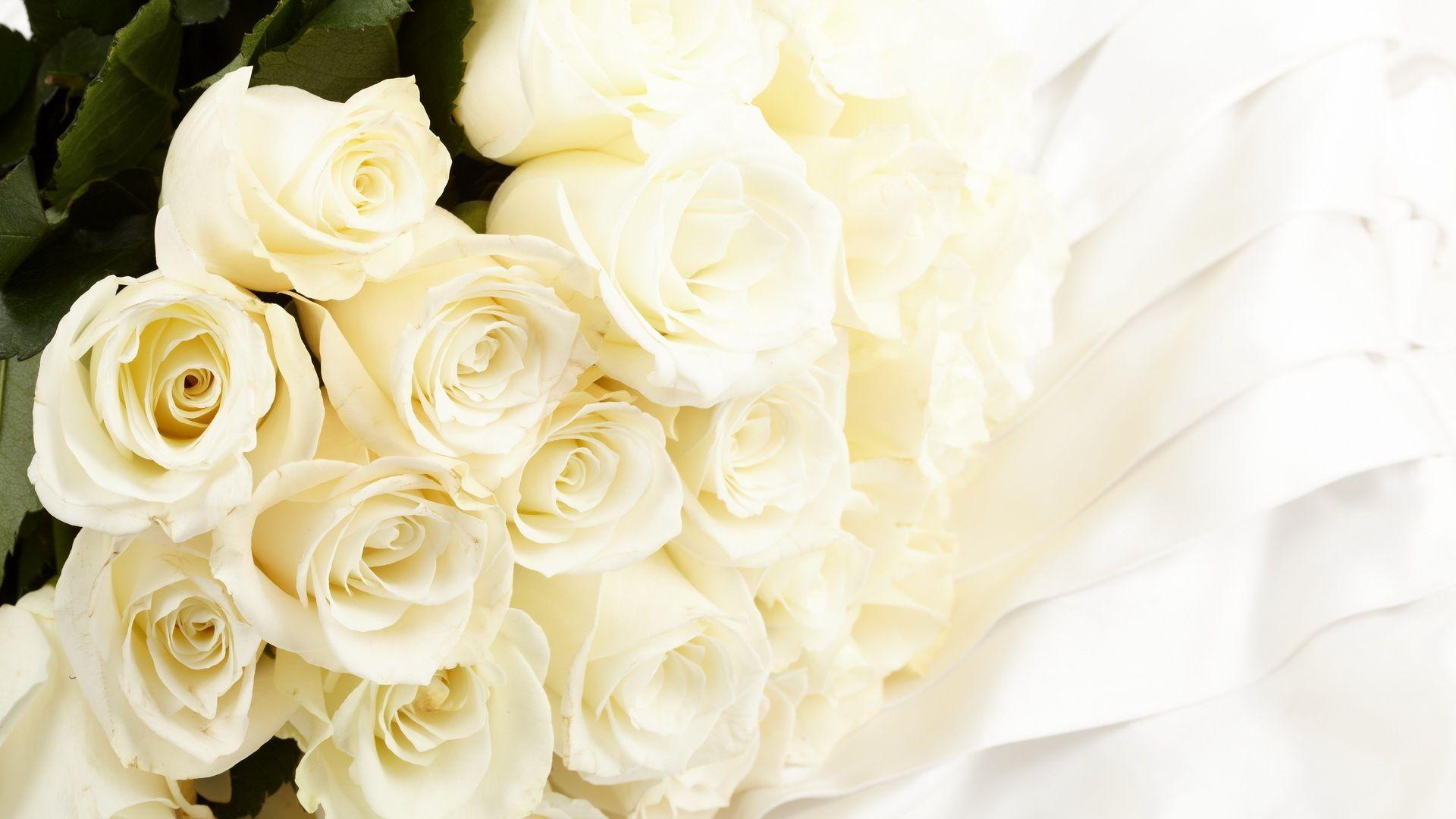 White Rose Wallpapers & Pictures - Bunch Of White Roses , HD Wallpaper & Backgrounds