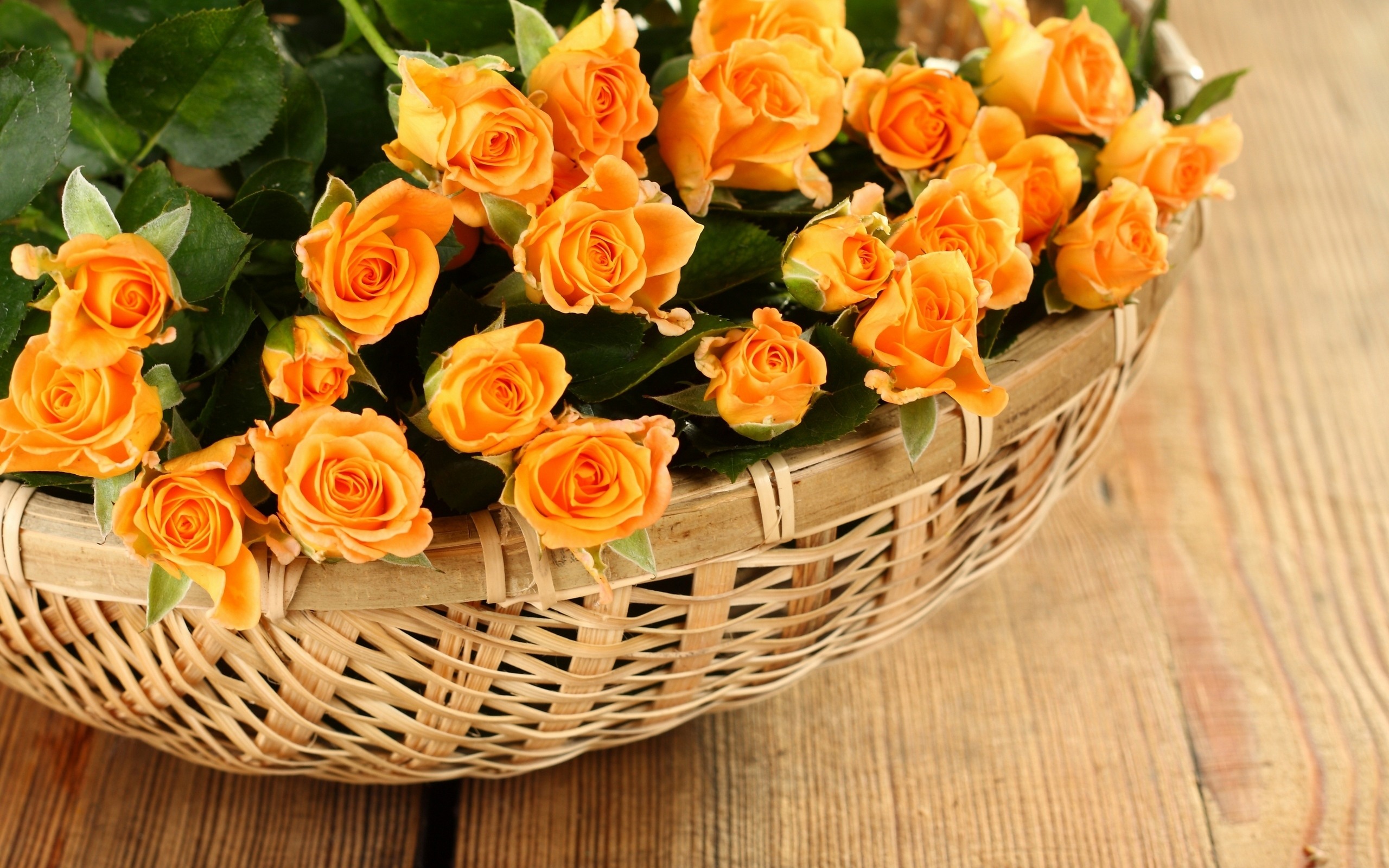 Beautiful Yellow Roses Flowers Desktop Wallpapers - Desktop Wallpaper Yellow Roses , HD Wallpaper & Backgrounds