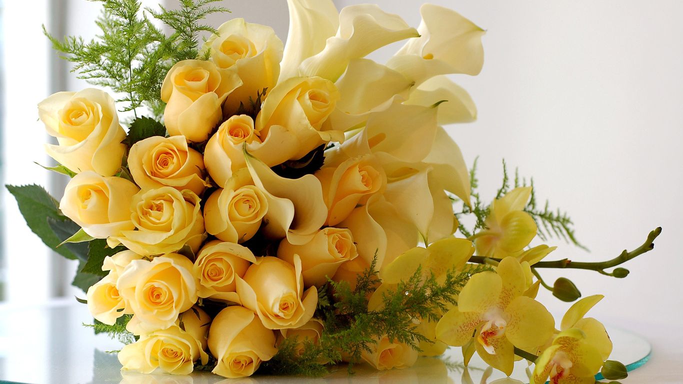 Yellow Roses Wallpapers - Calla Lily Flowers Hd , HD Wallpaper & Backgrounds