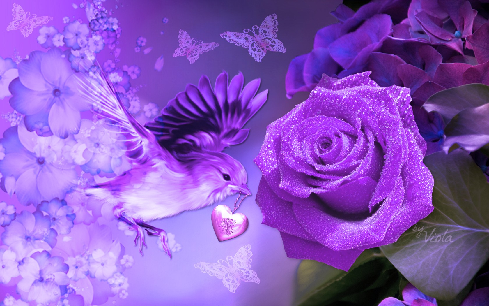 Design Purple Viola Mothers Artwork Bird Butterflies - Violet Rose Flowers Hd , HD Wallpaper & Backgrounds