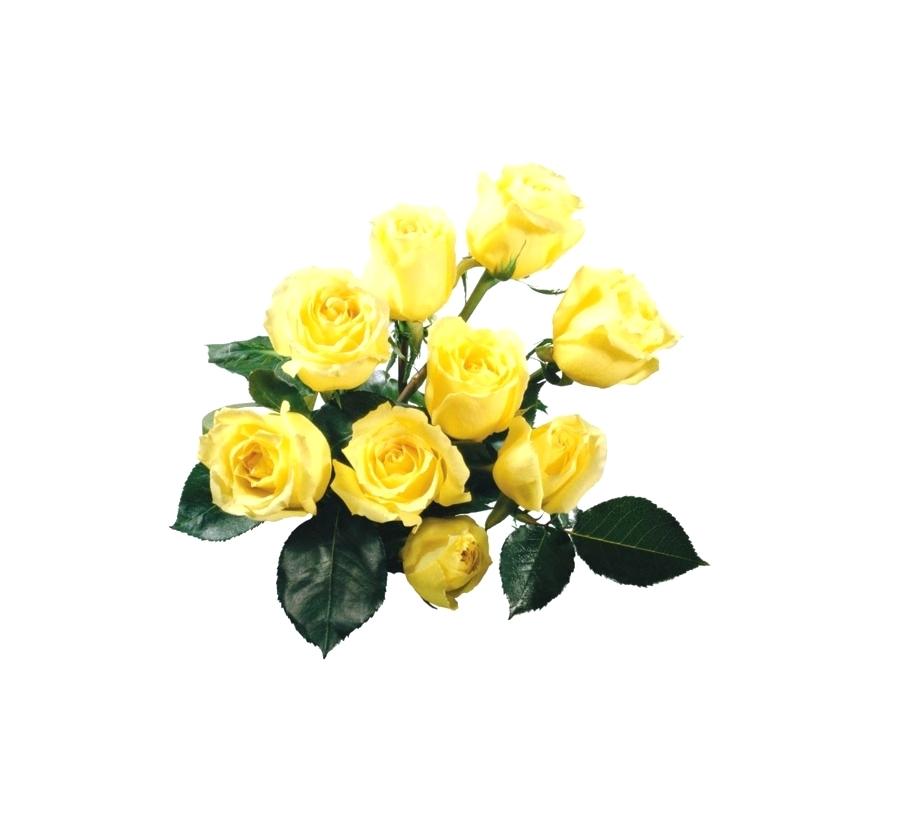 Yellow Roses Wallpaper Rose Flower Bouquet A Of Beautiful - Download Yellow Rose Flowers , HD Wallpaper & Backgrounds