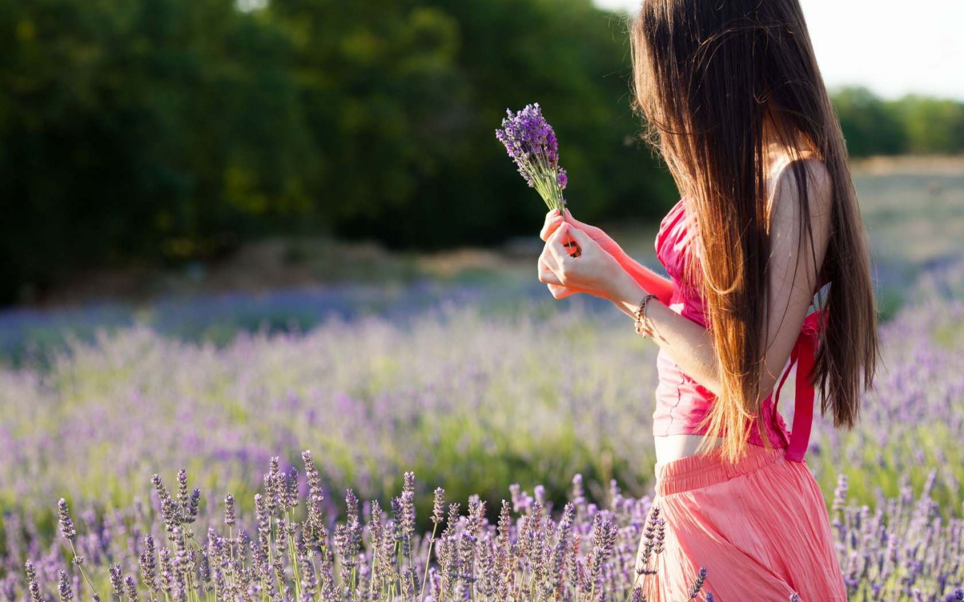 Photo Wallpaper Field, Purple, Leaves, Girl, Trees, - Girls Love Wallpaper Hd , HD Wallpaper & Backgrounds