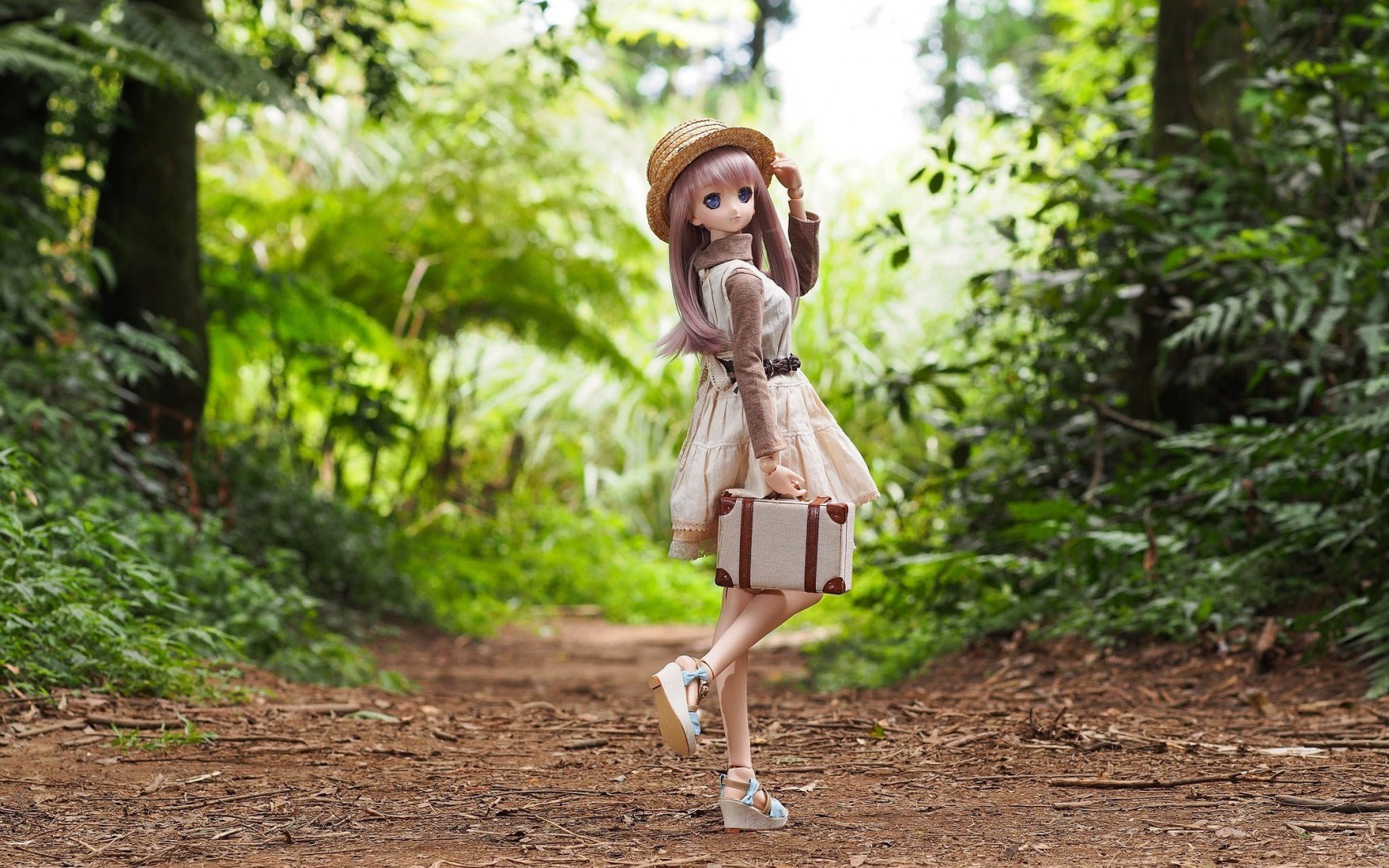 Anime Toy Doll Wallpaper - Doll Images In Nature , HD Wallpaper & Backgrounds
