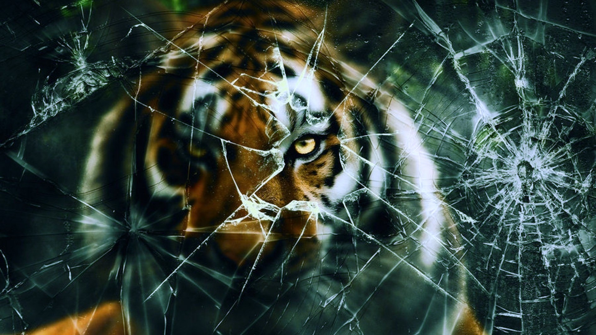 Tiger, Broken, Screen, Wallpaper - Broken Tiger , HD Wallpaper & Backgrounds