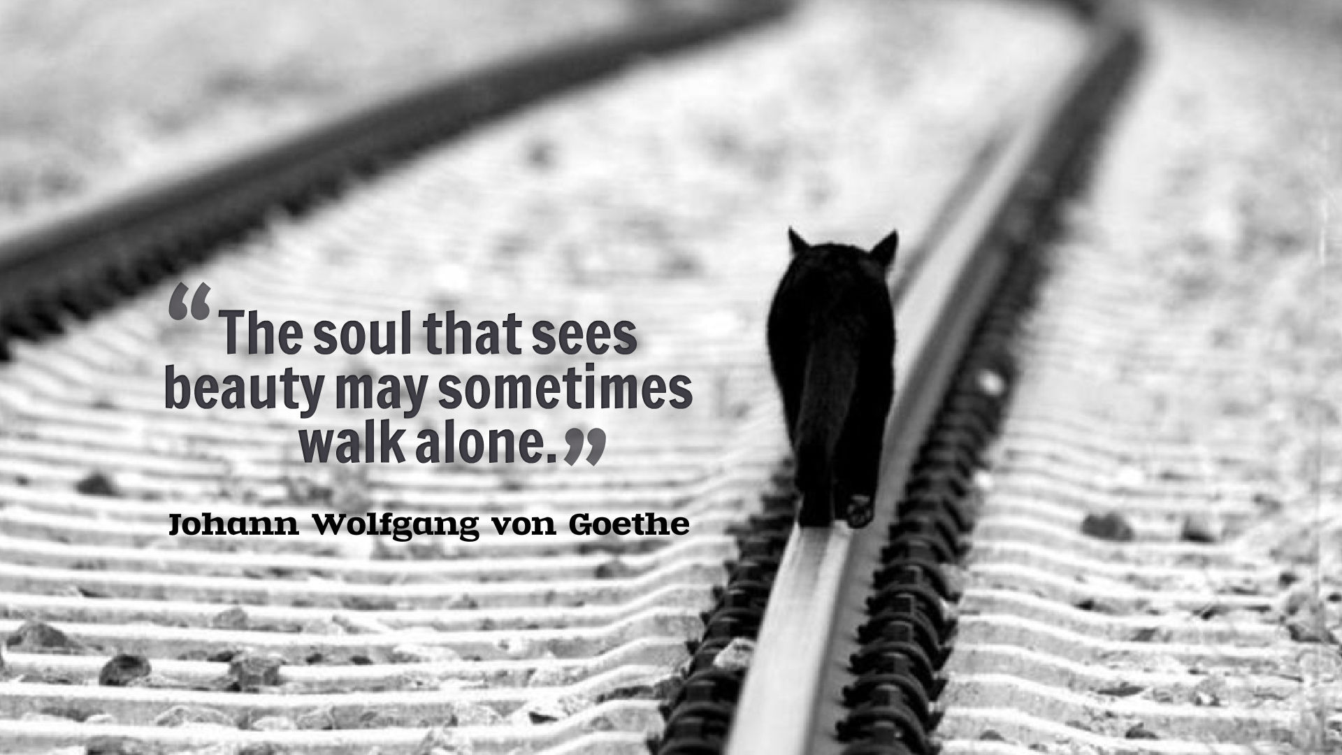 Alone Wallpaper With Quotes - Sad Cover Photos For Facebook , HD Wallpaper & Backgrounds