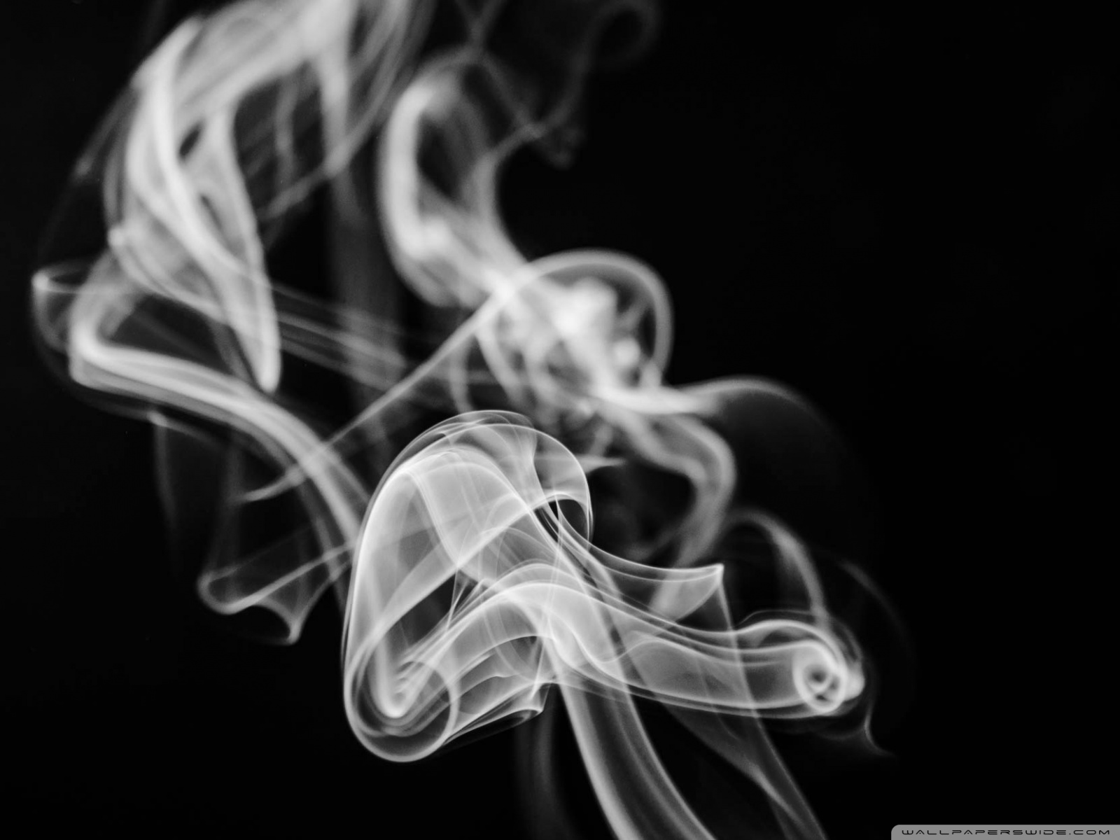 Standard Black And White Smoke 56852 Hd Wallpaper
