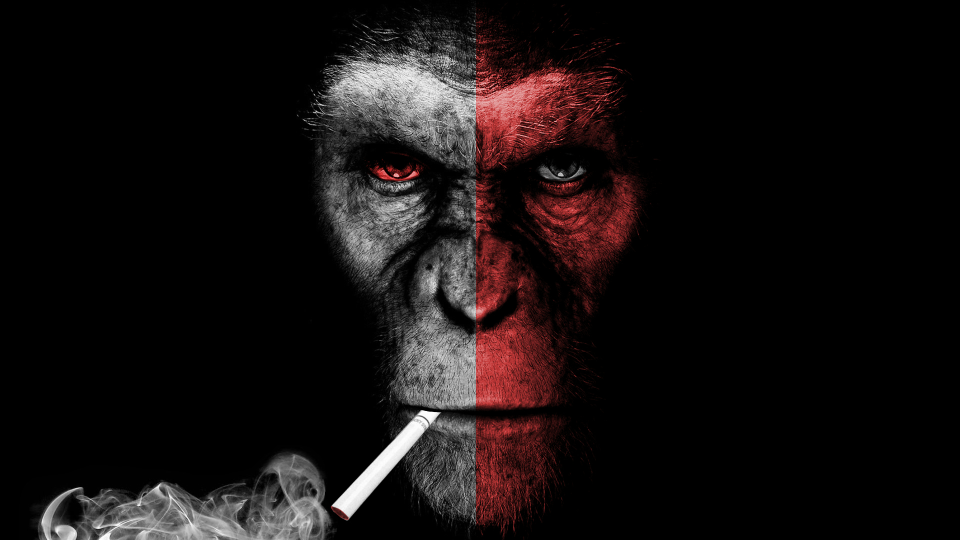 Wallpaper Smoke Wallpaper - Planet Of The Apes Black And White , HD Wallpaper & Backgrounds