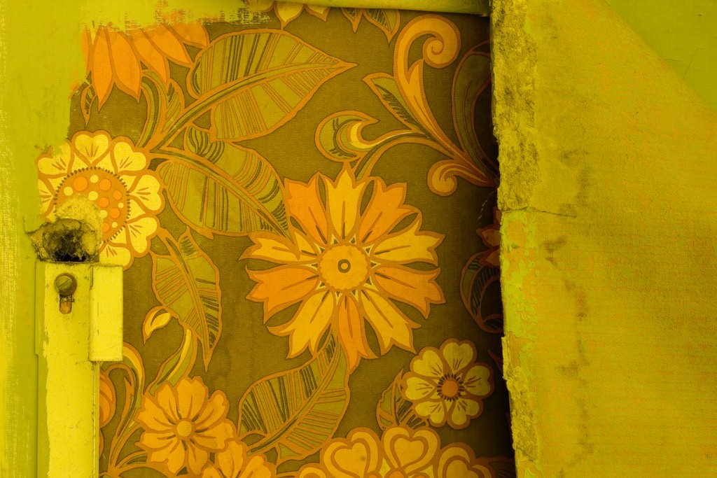 Tips For Painting Over Wallpaper - Floral Print , HD Wallpaper & Backgrounds