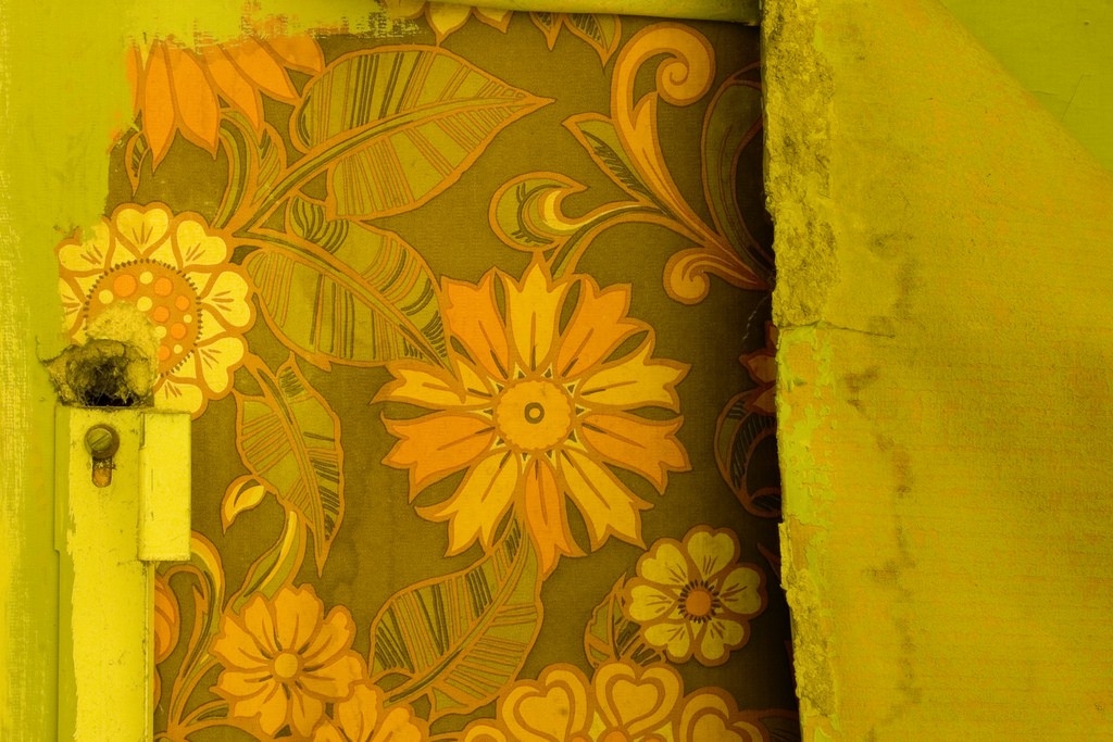 Tips For Painting Over Wallpaper - Floral Print , HD Wallpaper & Backgrounds