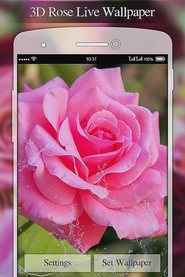 Live Wallpaper Editor - Pink Rose Stickers , HD Wallpaper & Backgrounds
