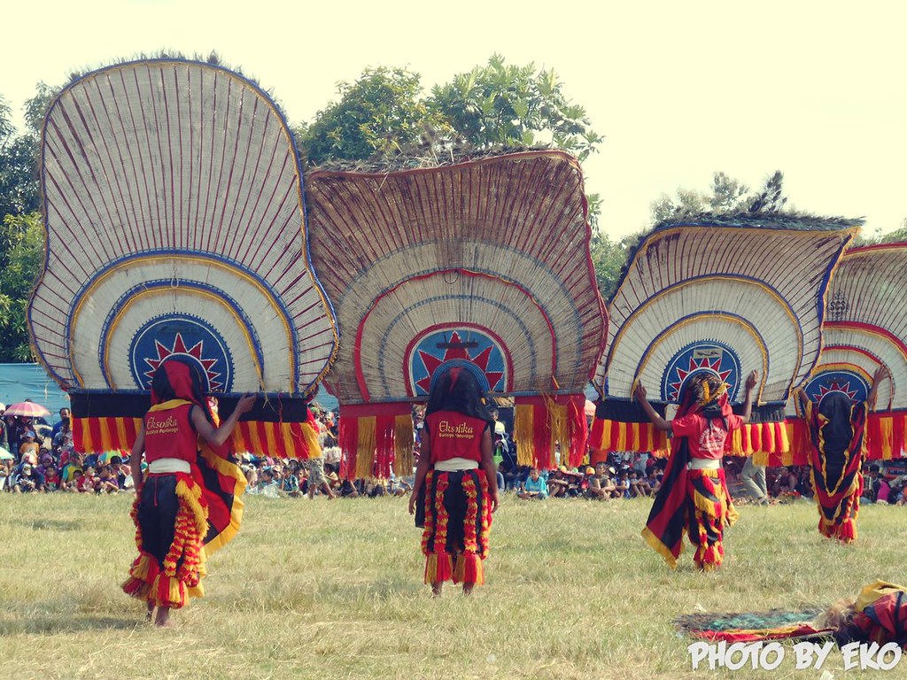 Reog Ponorogo In Kaliwungu - Lion Dance , HD Wallpaper & Backgrounds