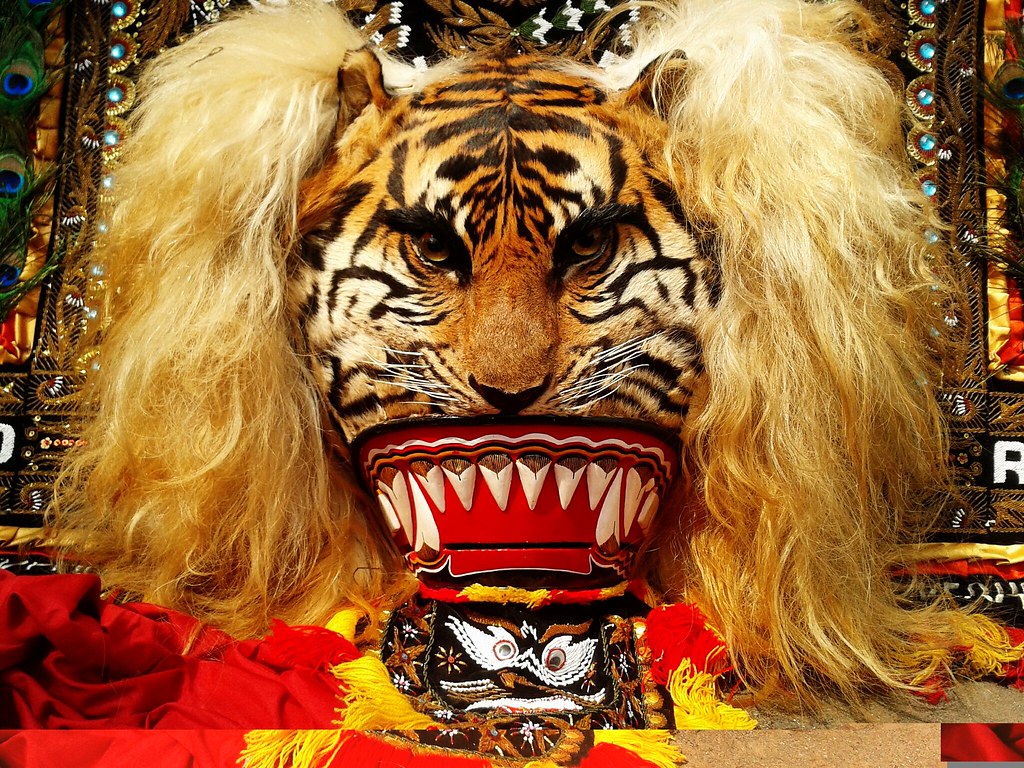 Barongan - Siberian Tiger , HD Wallpaper & Backgrounds