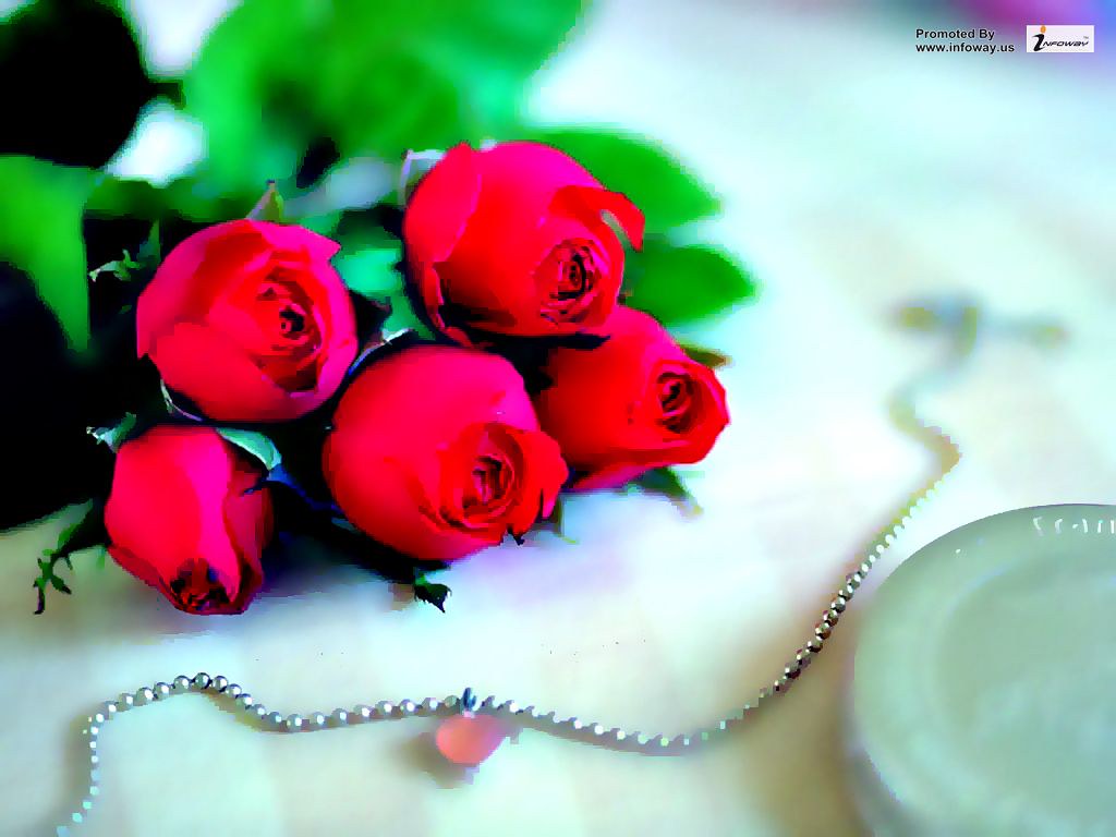 Love Rose Wallpaper - Love Love Rose , HD Wallpaper & Backgrounds