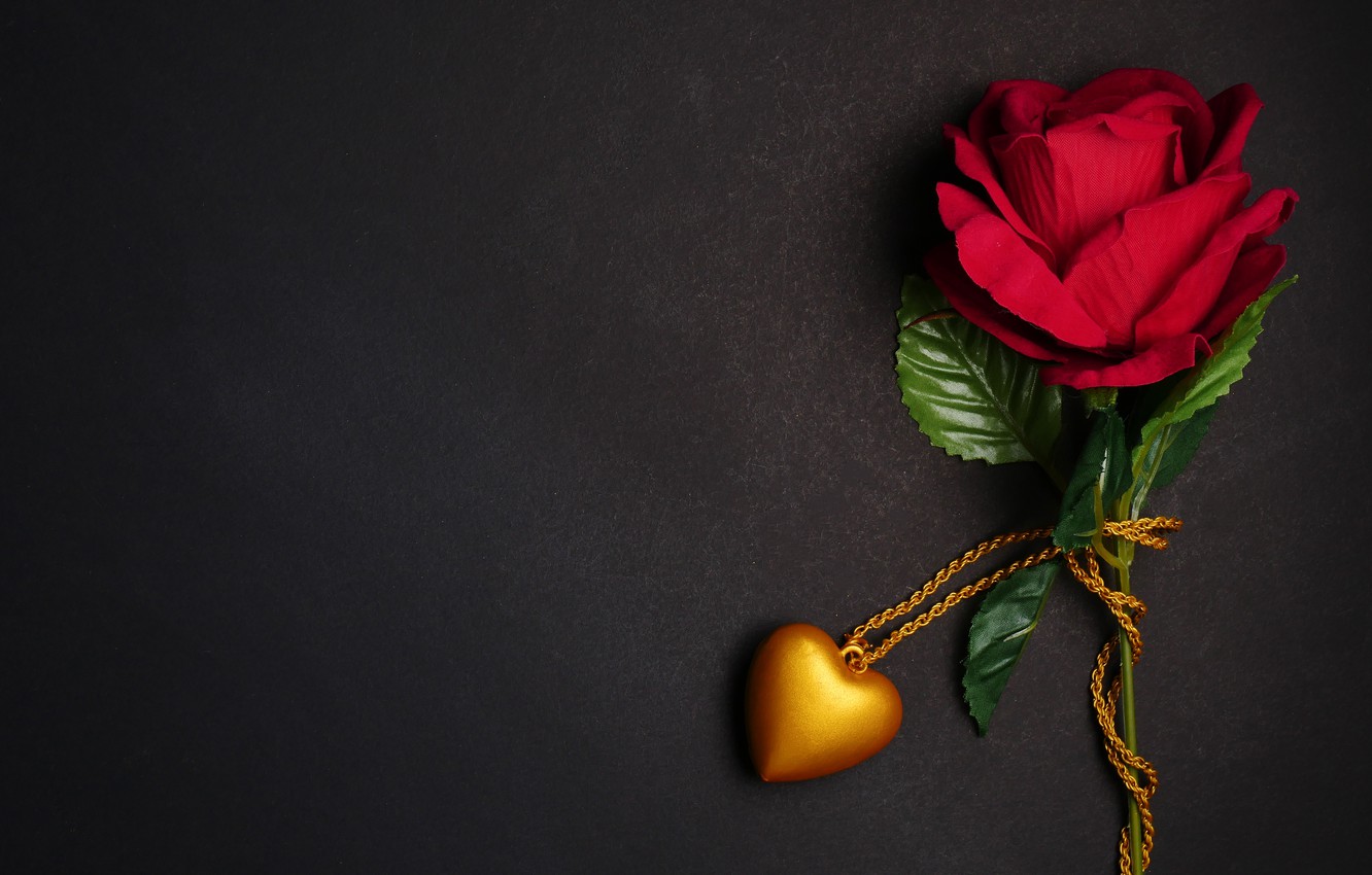 Photo Wallpaper Flowers, Gift, Heart, Rose, Pendant, - Rose Wallpaper With Black Background , HD Wallpaper & Backgrounds