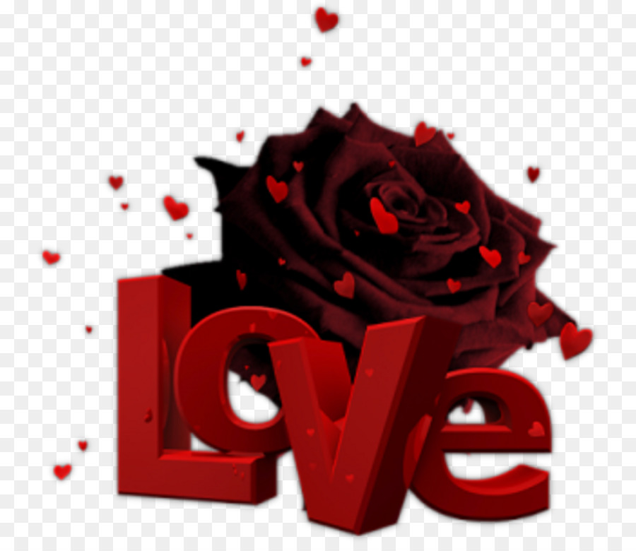 Black Rose, Desktop Wallpaper, Rose, Computer Wallpaper, - Black And Red Wallpaper For Love , HD Wallpaper & Backgrounds
