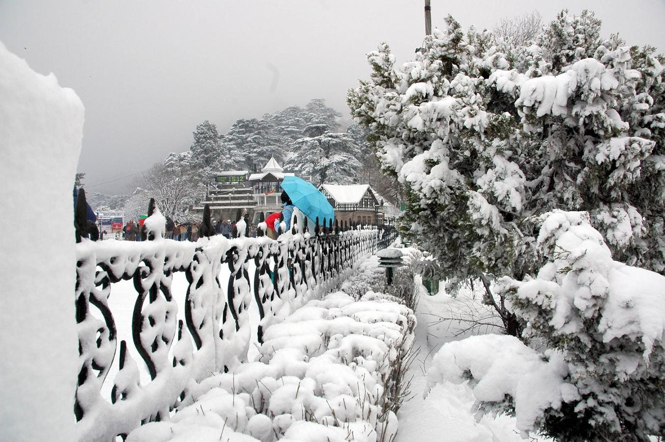 Google Facebook Twitter - Snowfall In Shimla Today , HD Wallpaper & Backgrounds