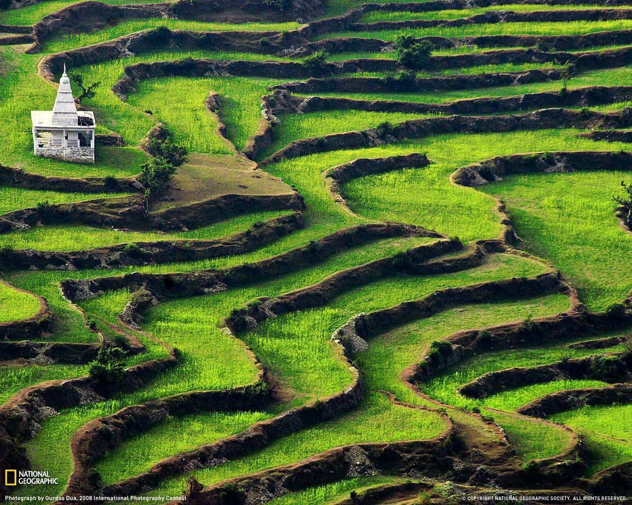 Beautiful Places On Earth Wallpaper - Ranikhet Hill Station , HD Wallpaper & Backgrounds