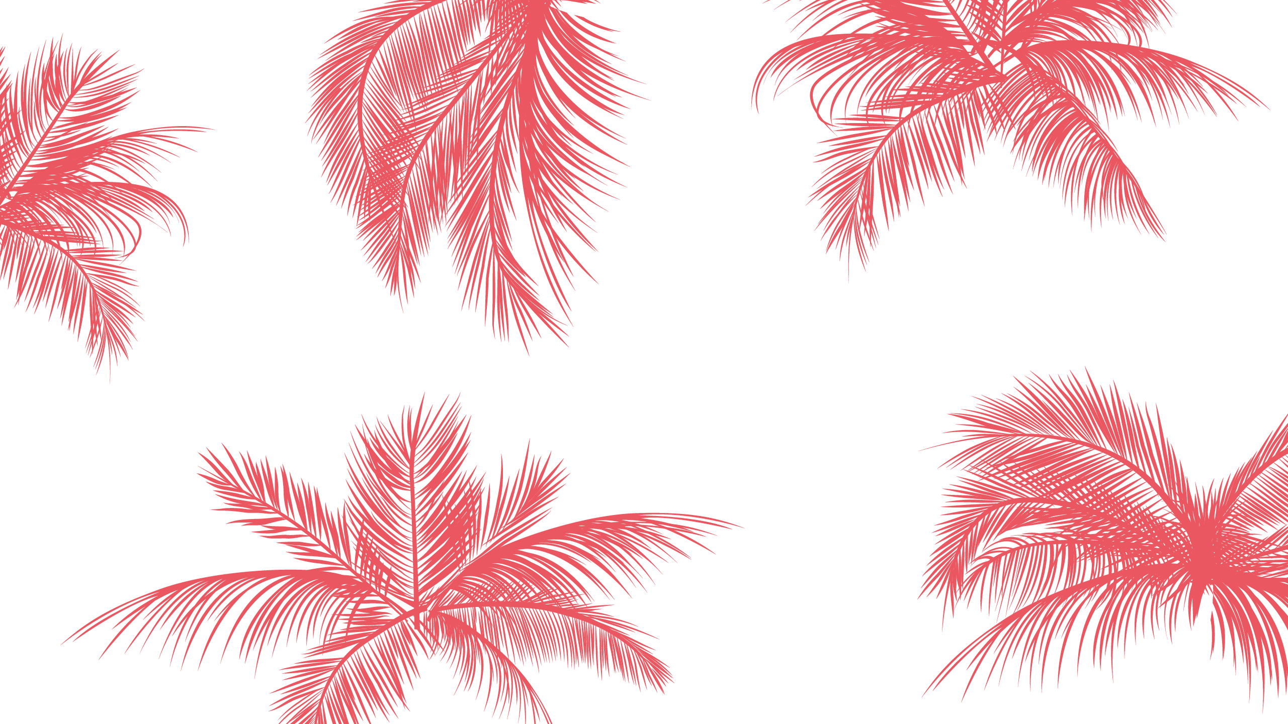 May Wallpaper-06 - Desktop Wallpaper Pink Palm Trees , HD Wallpaper & Backgrounds