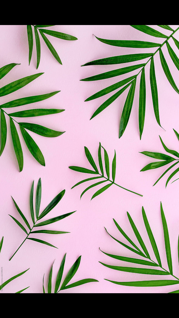 Leaves Wallpaper Iphone, Palm Leaf Wallpaper, Apple , HD Wallpaper & Backgrounds