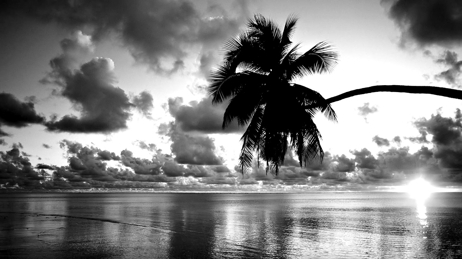 Pretty Black And White Wallpaper - Beach Wallpaper Black And White , HD Wallpaper & Backgrounds