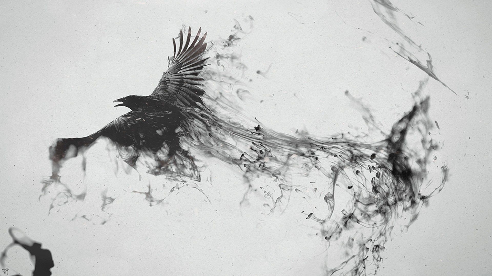 Crow Smoke , HD Wallpaper & Backgrounds