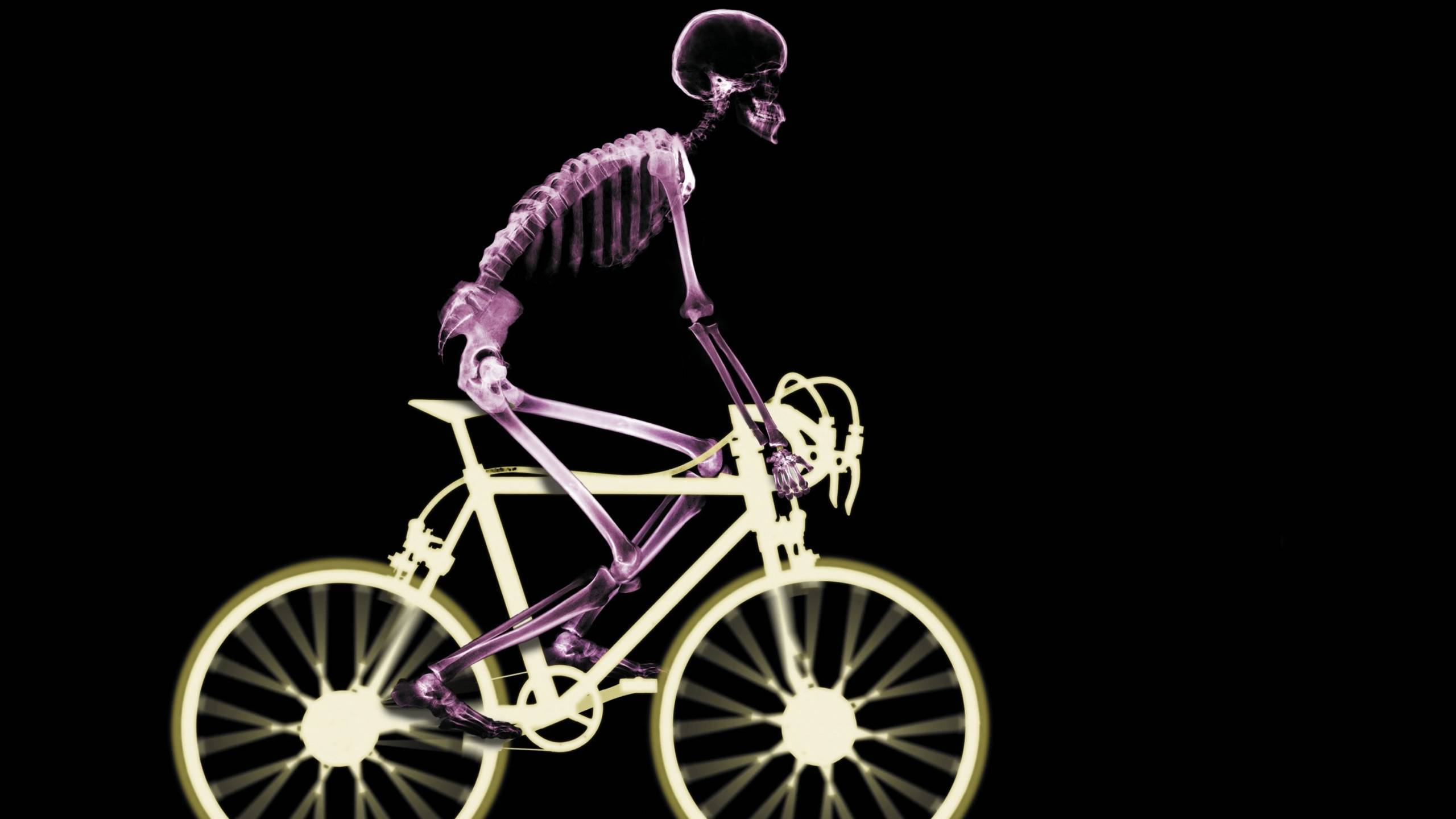 Wallpapers En Hd Para Pc - Bicycle X Ray , HD Wallpaper & Backgrounds