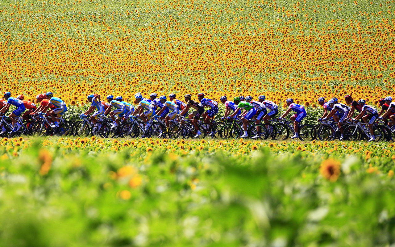 Tour De France - Tour De France Countryside , HD Wallpaper & Backgrounds