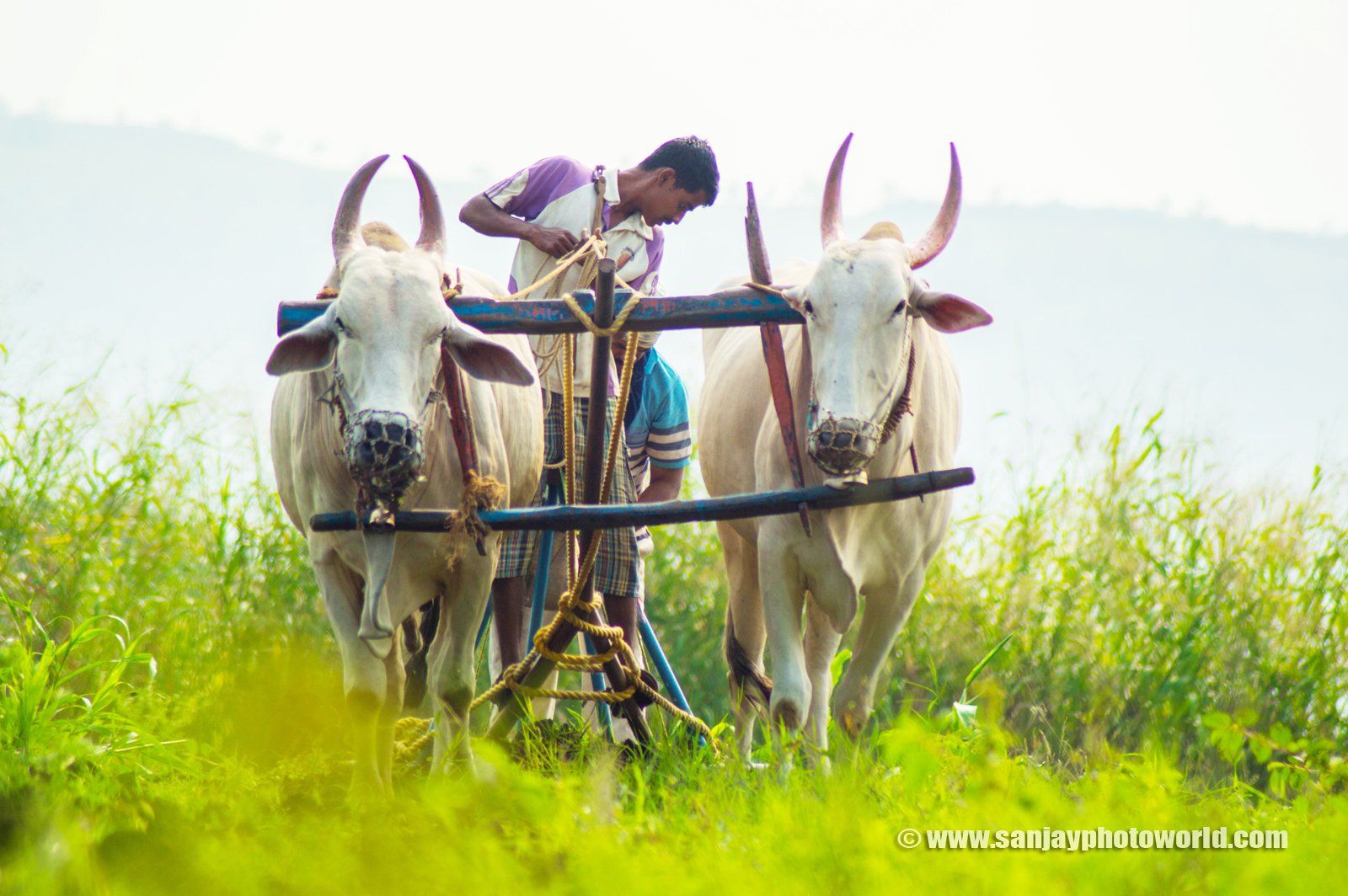 Indian Farmer Wallpaper - Indian Farmer Hd , HD Wallpaper & Backgrounds