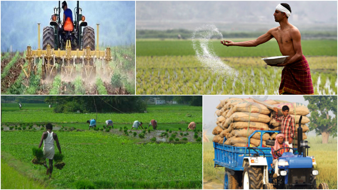 Agriculture And Agrochemical India