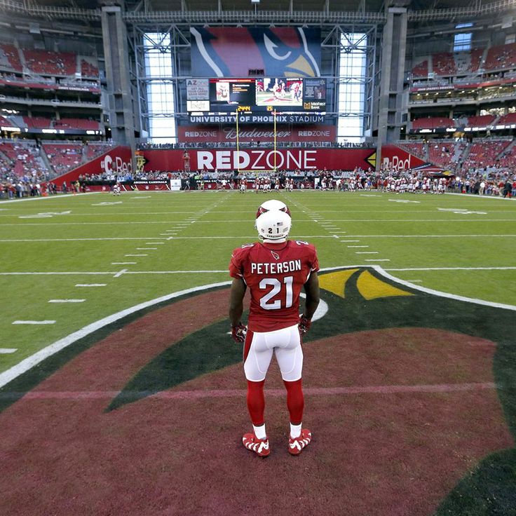 Patrick Peterson - University Of Phoenix Stadium , HD Wallpaper & Backgrounds