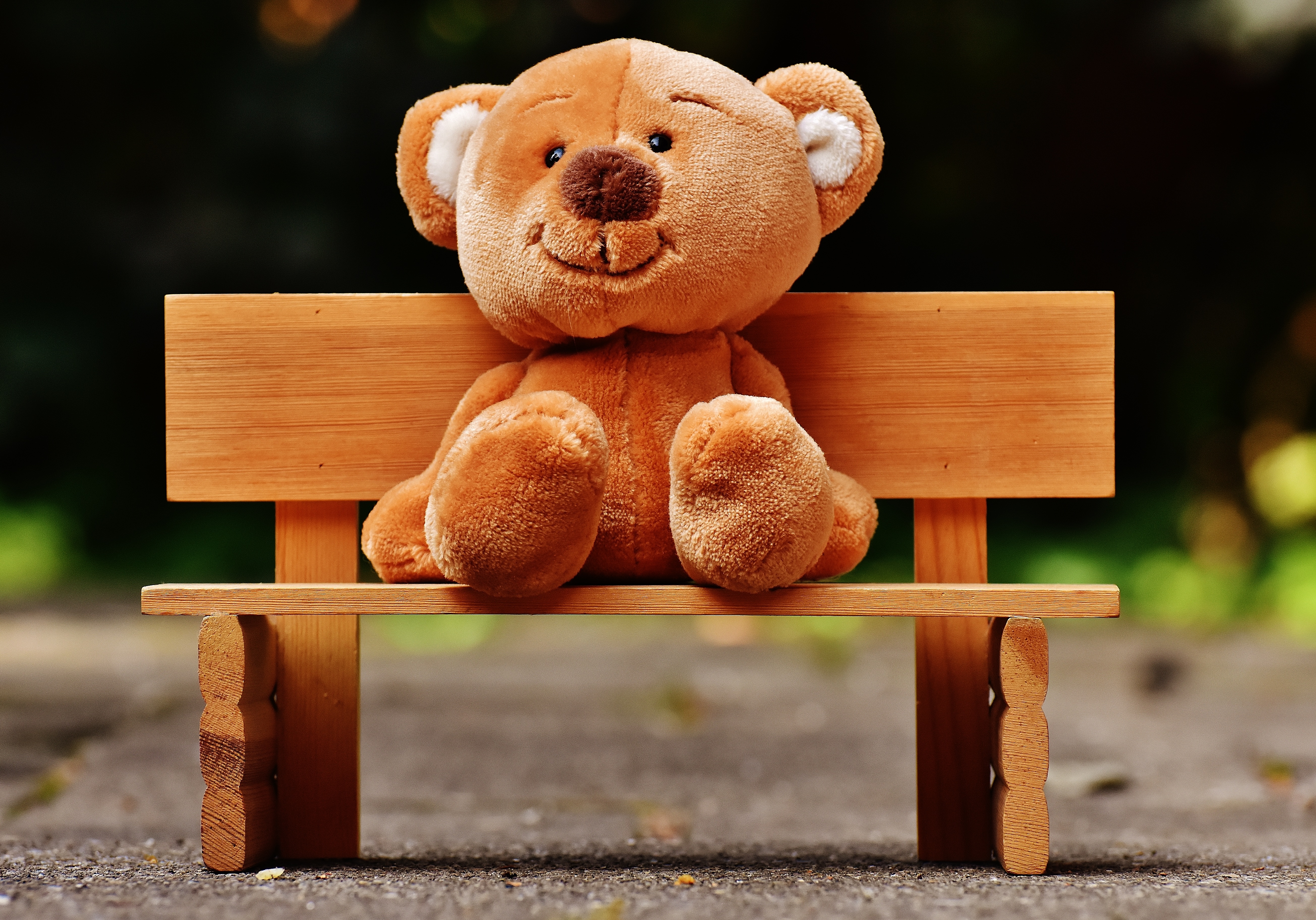 Pixabay - Happy Teddy Day 2019 , HD Wallpaper & Backgrounds