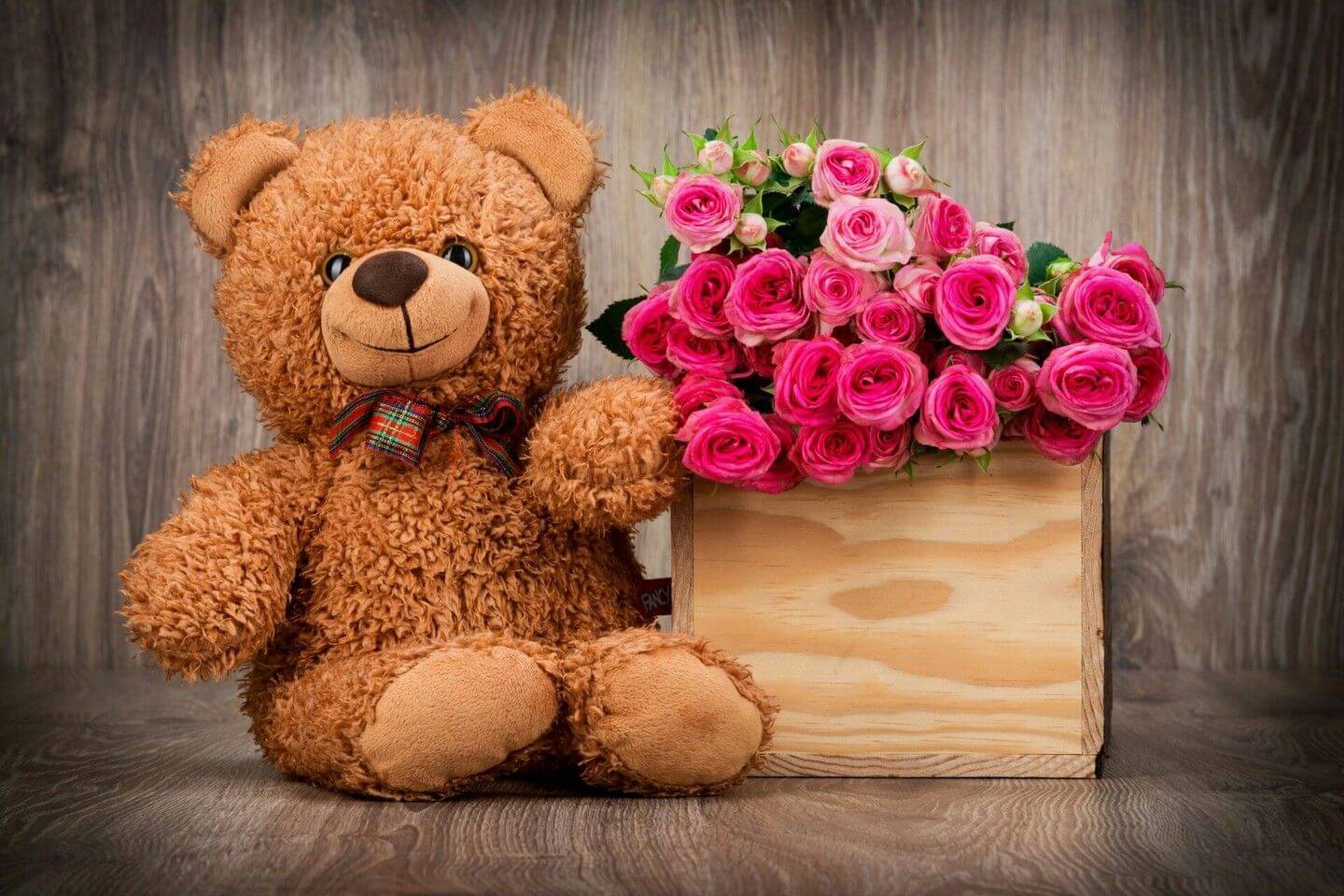 Morning Images With Teddy Bear - Teddy Bear Pic 4k , HD Wallpaper & Backgrounds
